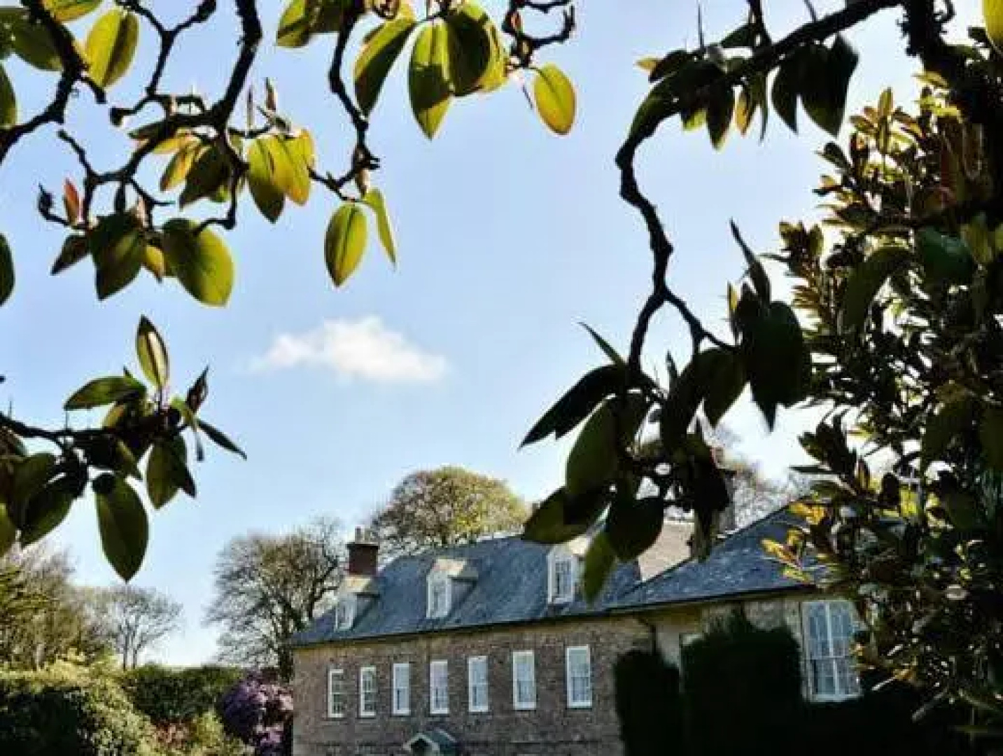Trereife House