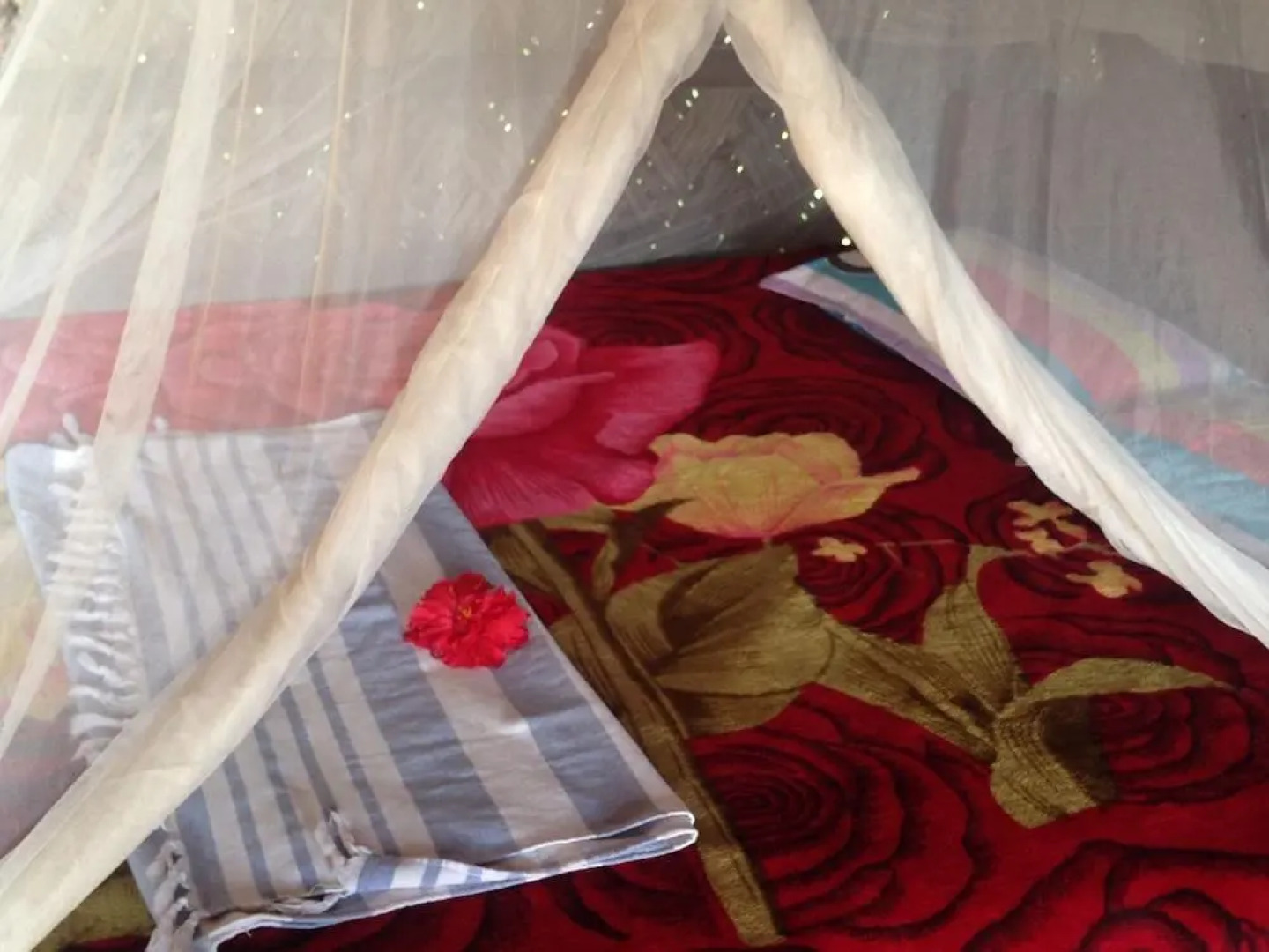 Volcano Island paradise bungalows