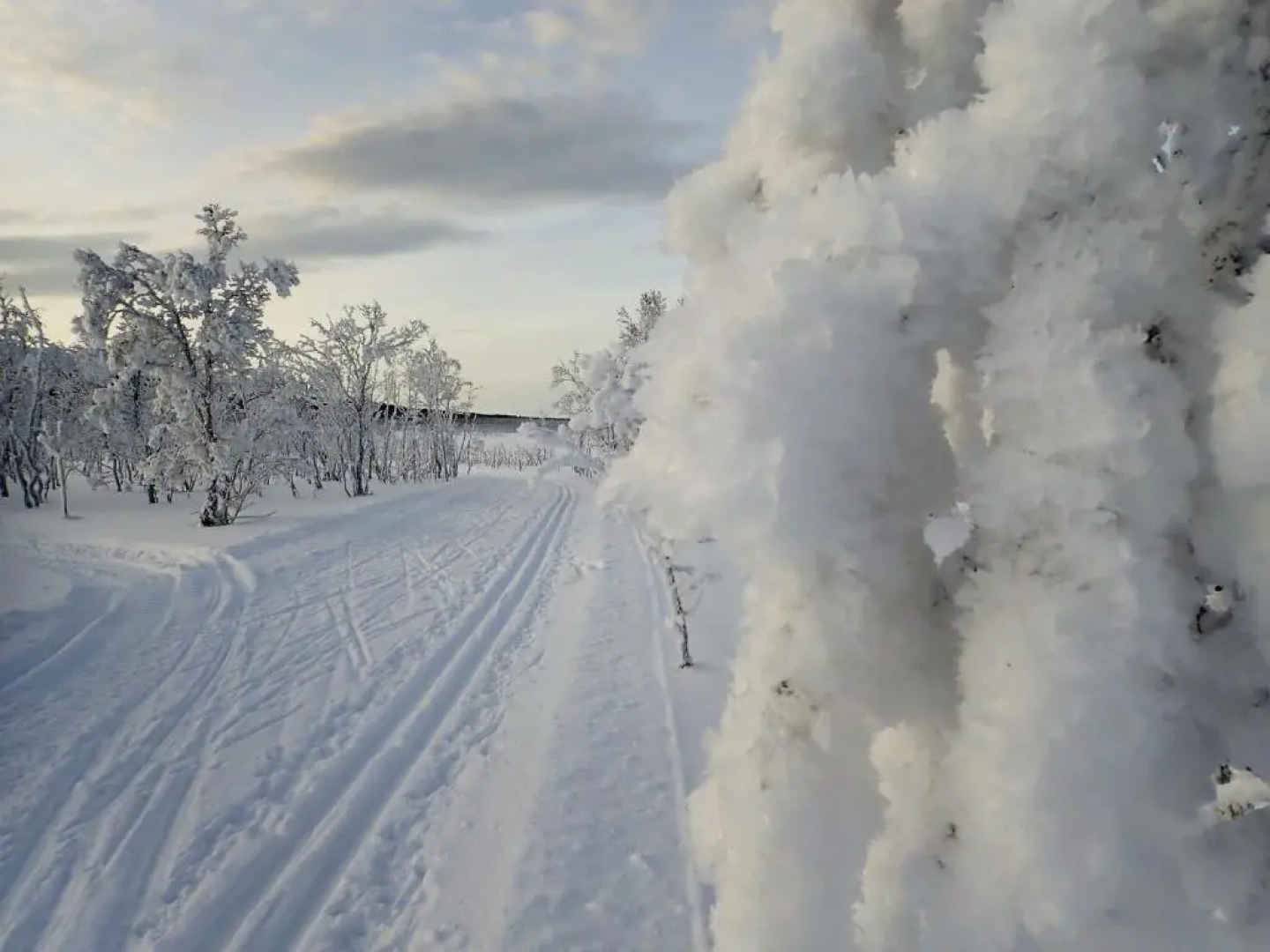 Varangertunet Rooms and Apartments