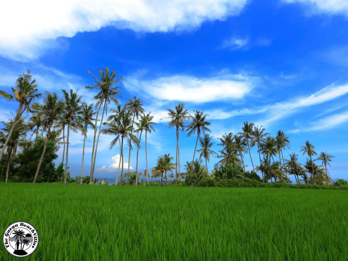 The Garga Beach Villas