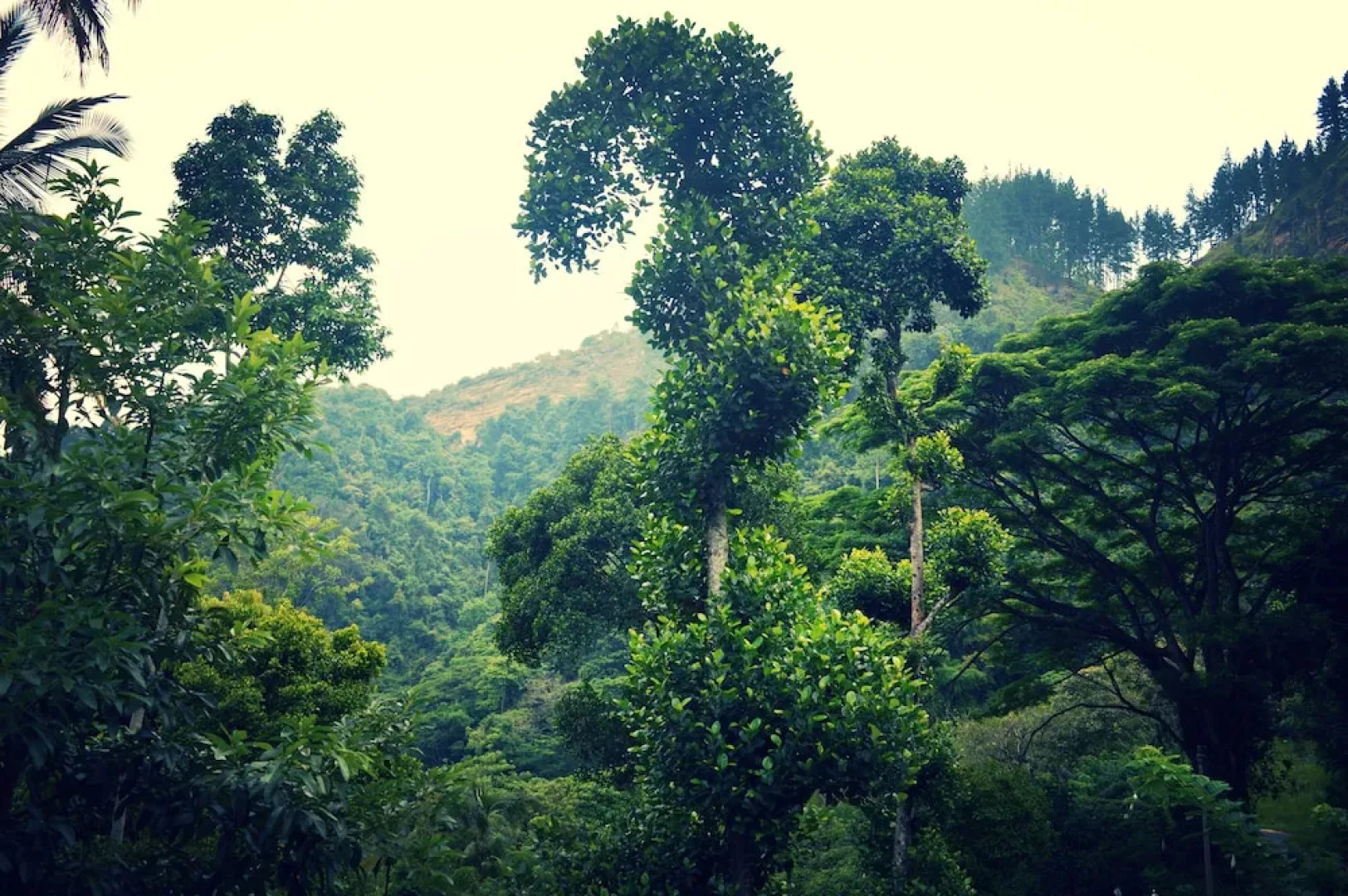 Rockview Holiday Bungalow