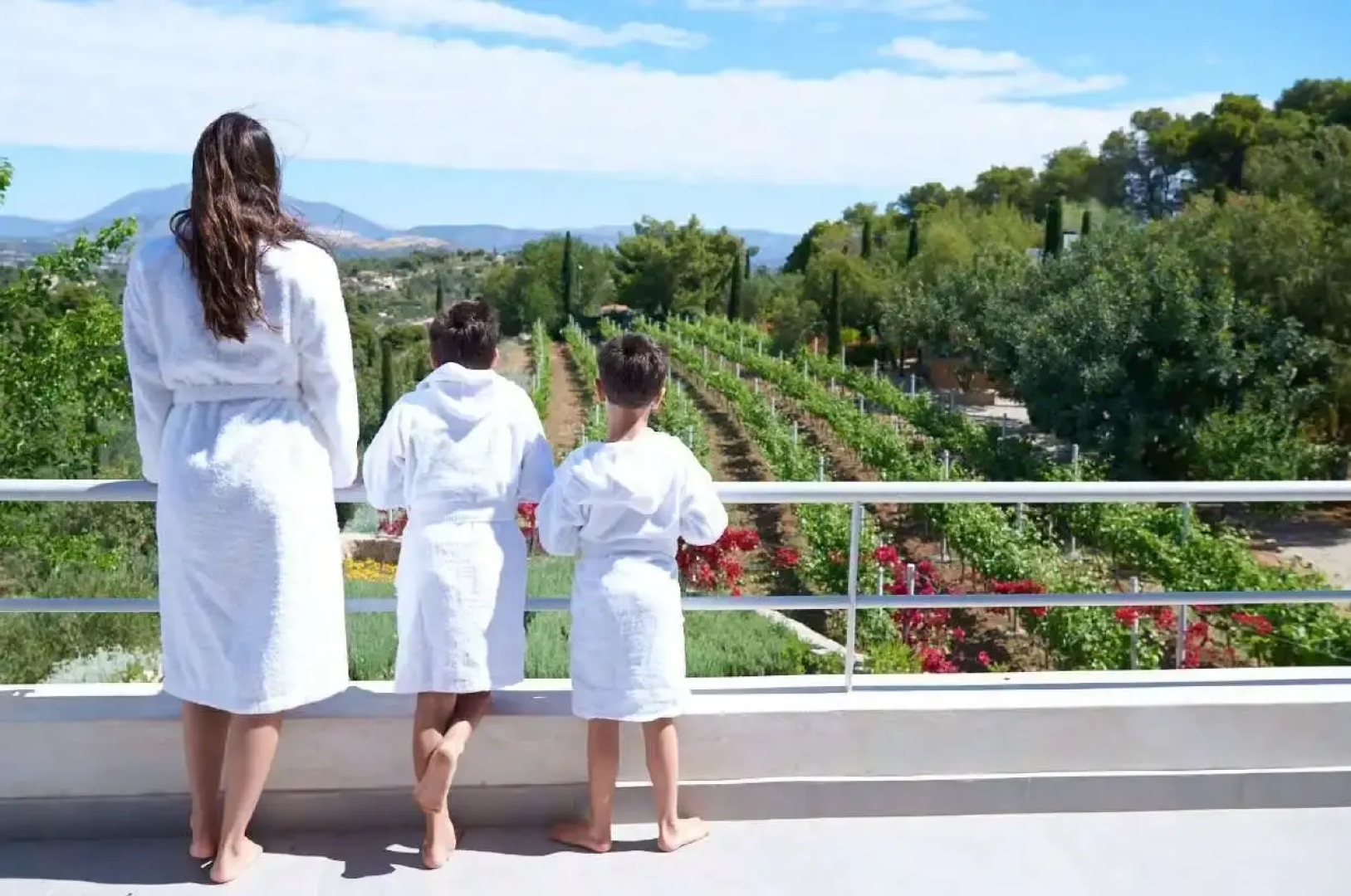 Vineyard Villa