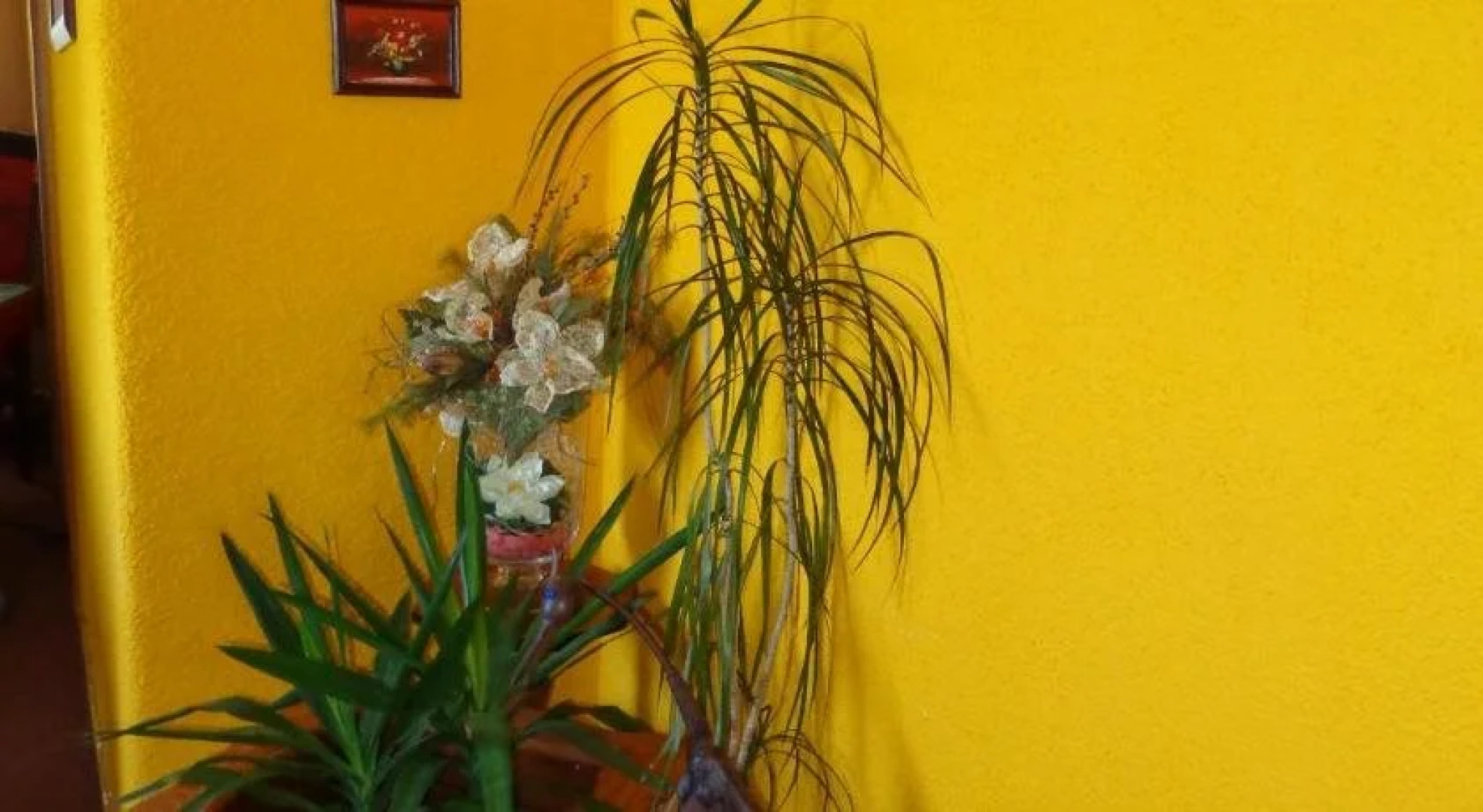 Pension Sonnenhügel