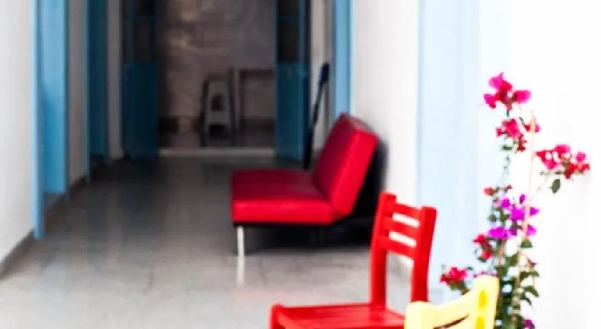 Santa Lucha Hostel