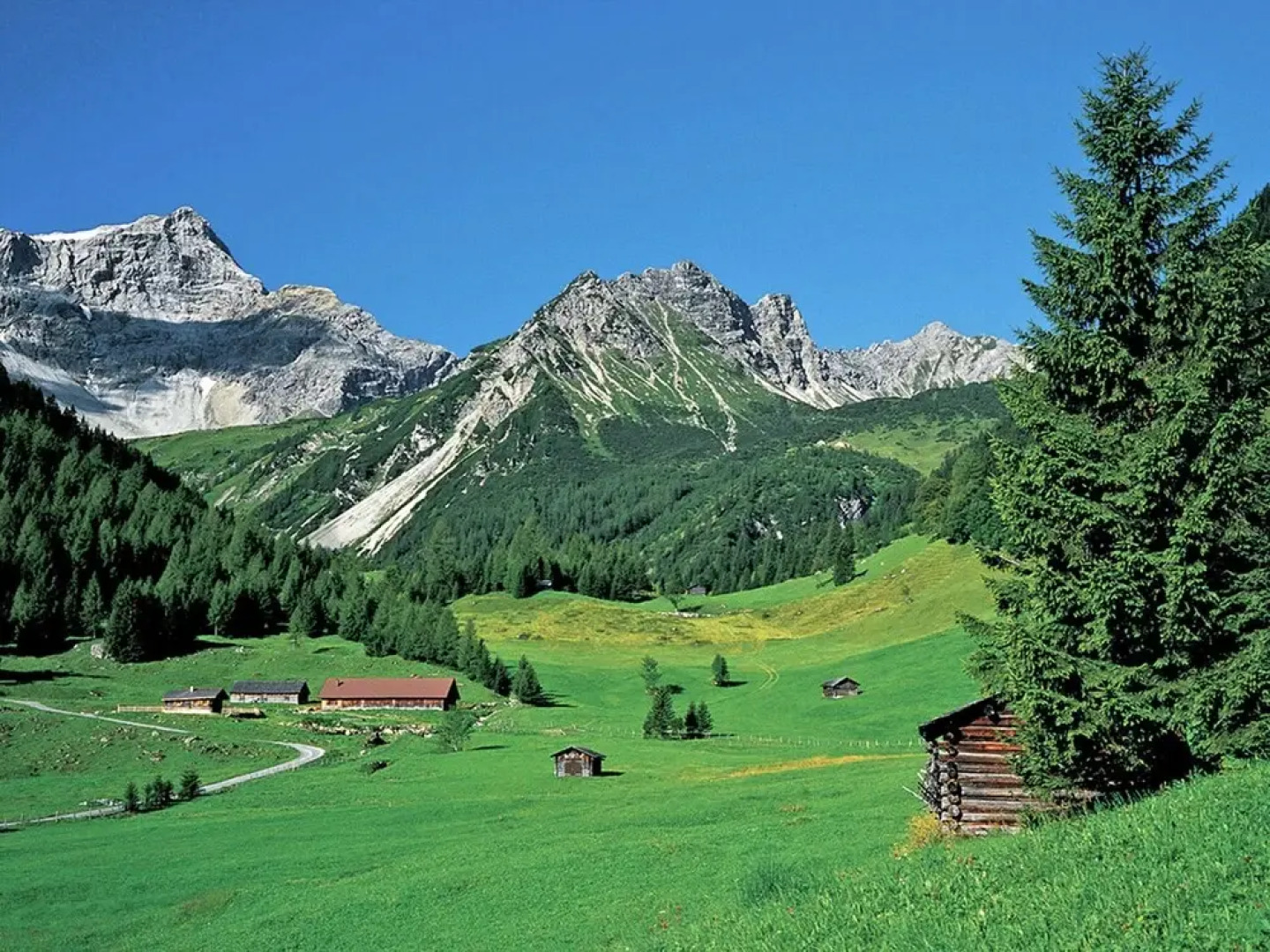Lovely Apartment in BÃ¼rserberg Austria With Terrace