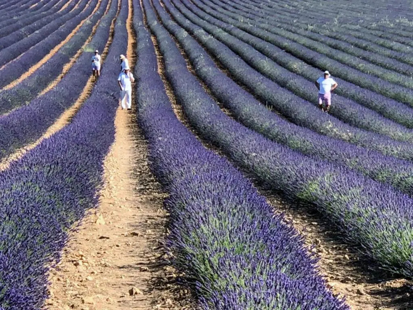 El Cuartel del Rio Dulce