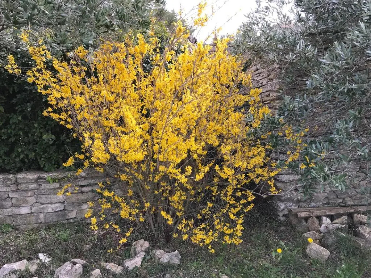 La Borie en Provence