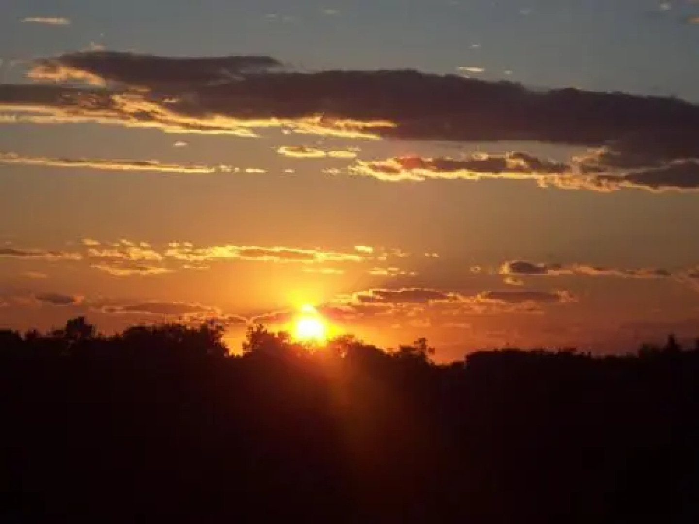 Apartmenthaus Sabine