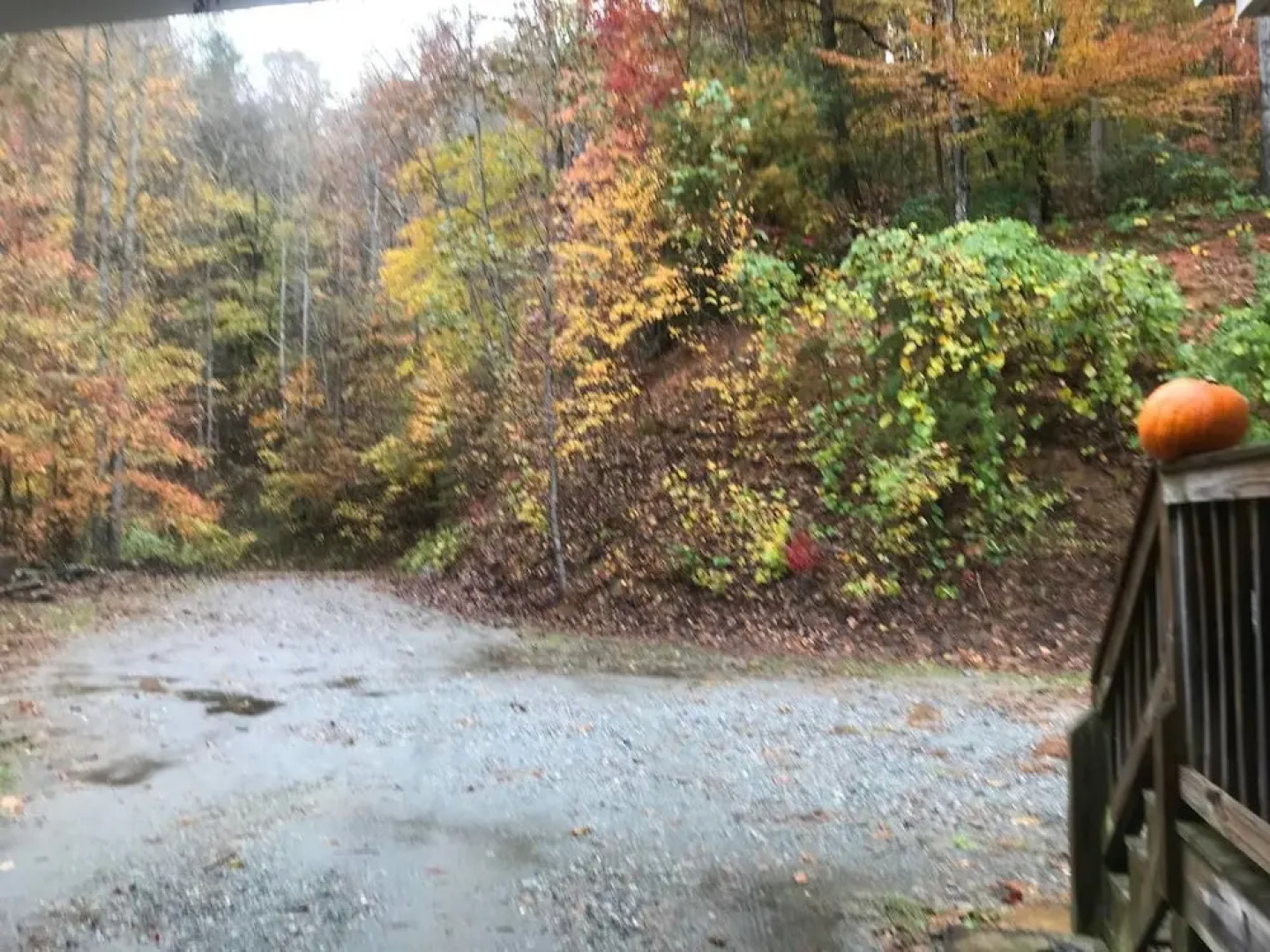 Comfortable Mountain Home near Everything yet Private