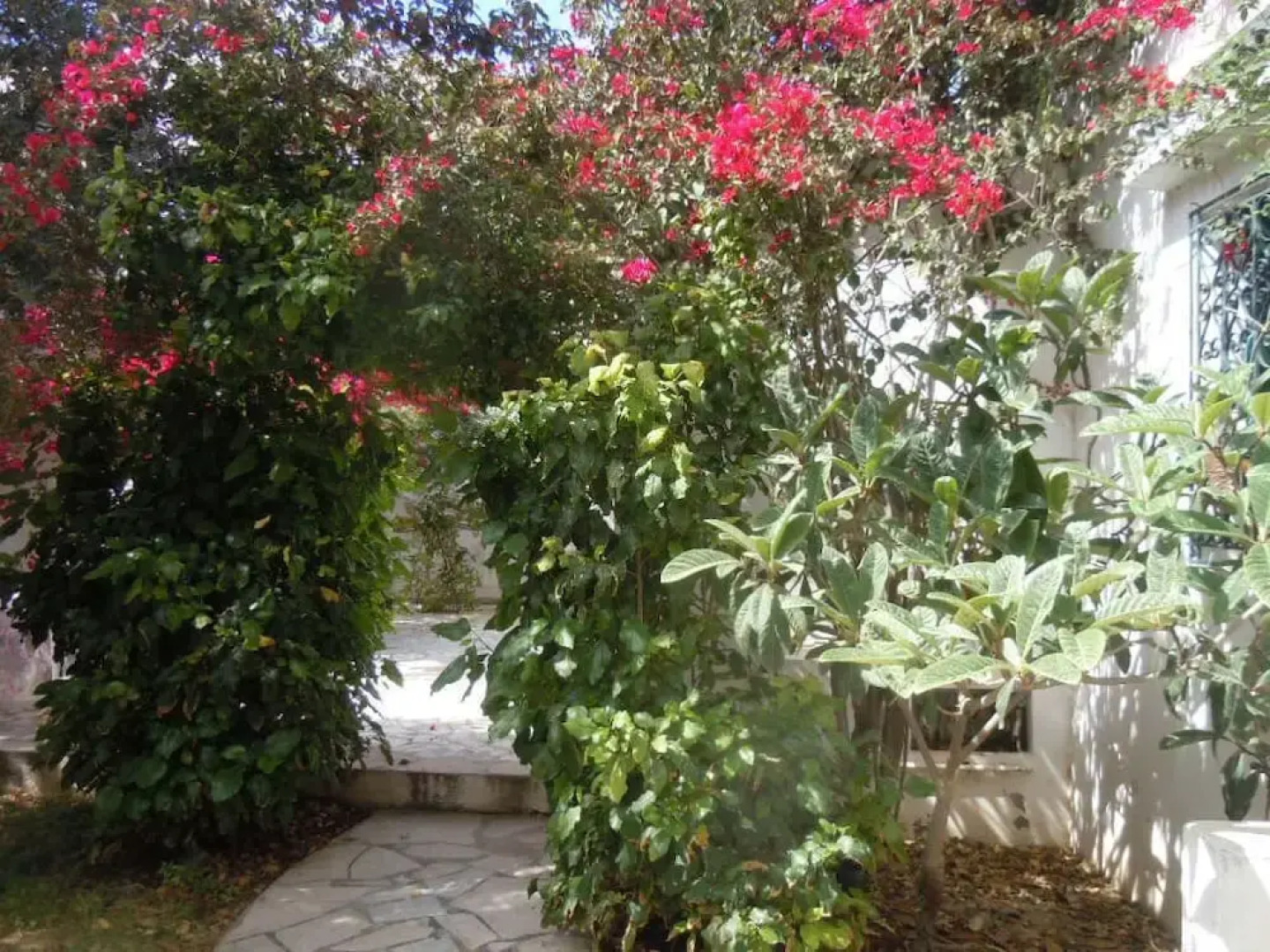 House With Garden Wala