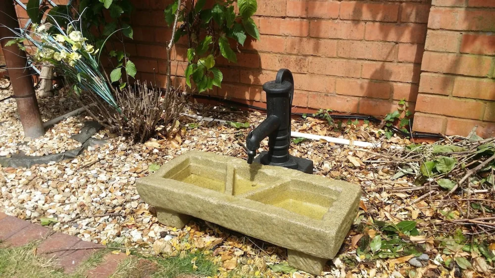 The Cedars House B&B