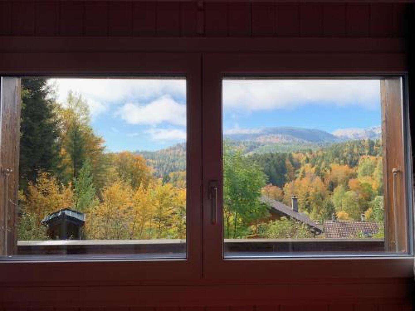 Chalet OTT - apartment in the mountains