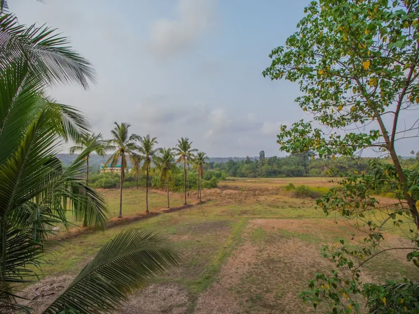 OYO 12987 Home Spacious Studio Mandrem Beach