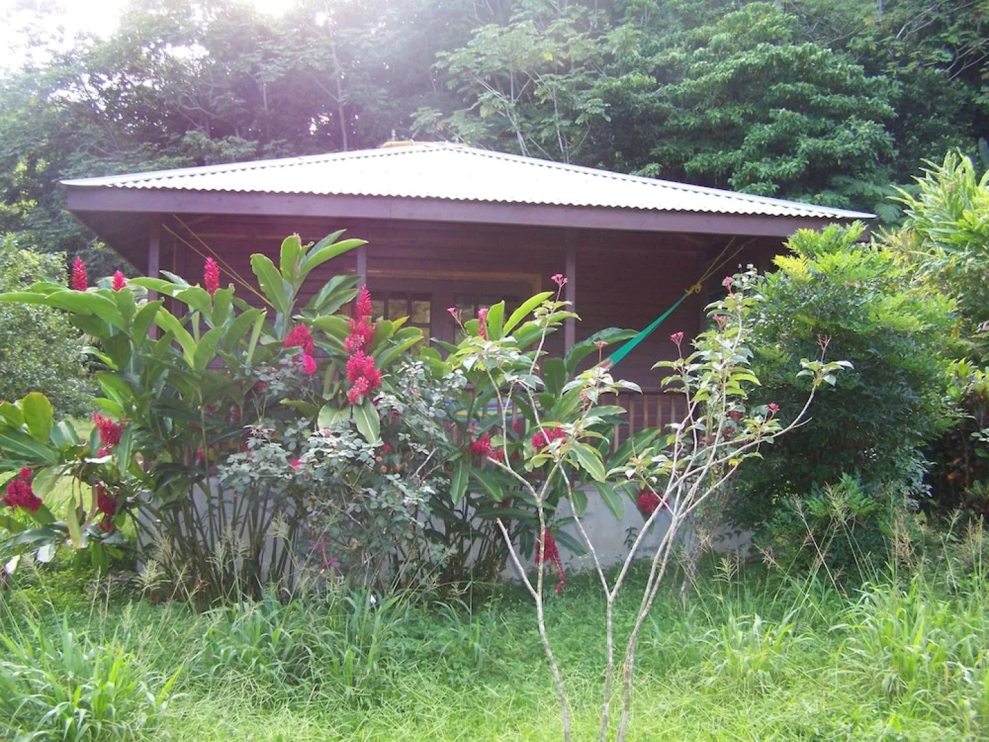 3 Rivers & Rosalie Forest Eco Lodge