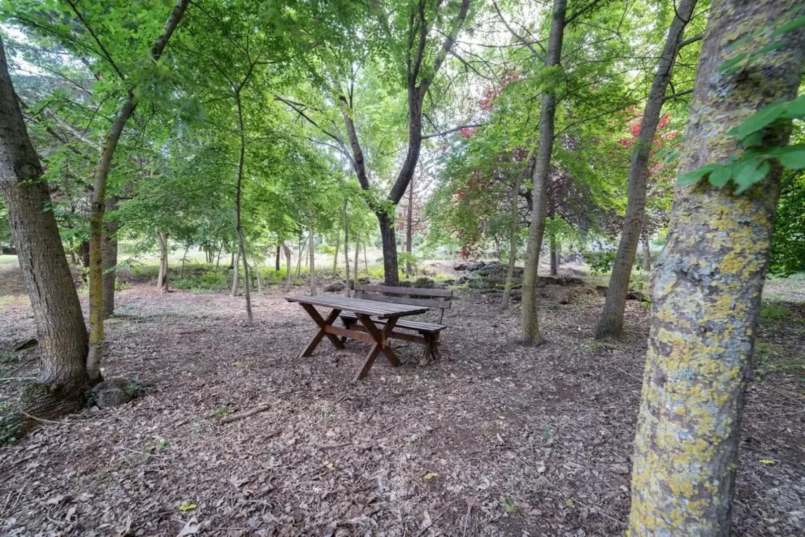 Villa Il Castagno Dell'etna