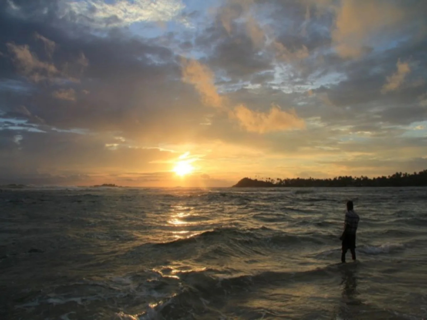 Black Beauty Guesthouse