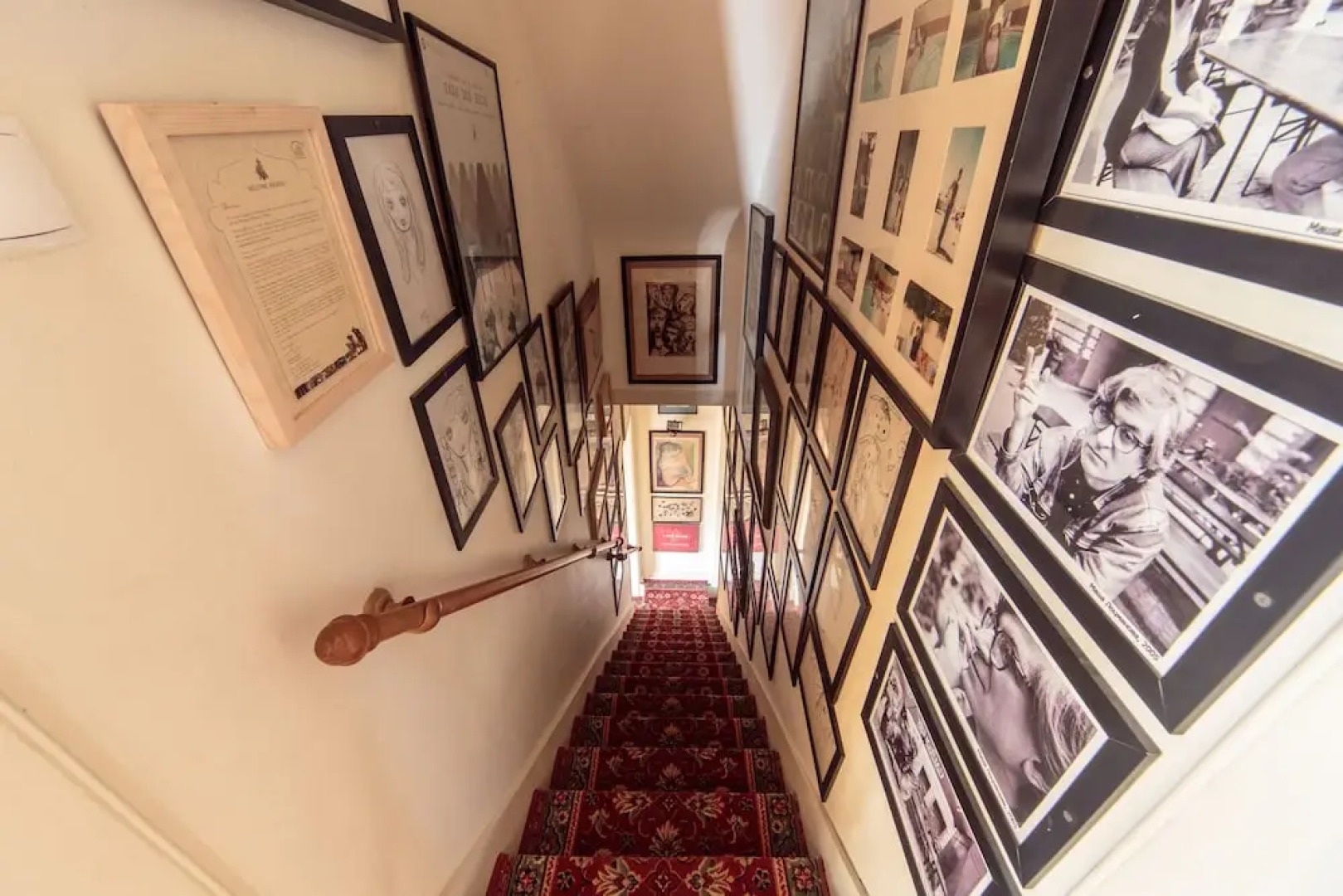 Shepinetree - Pinheira House