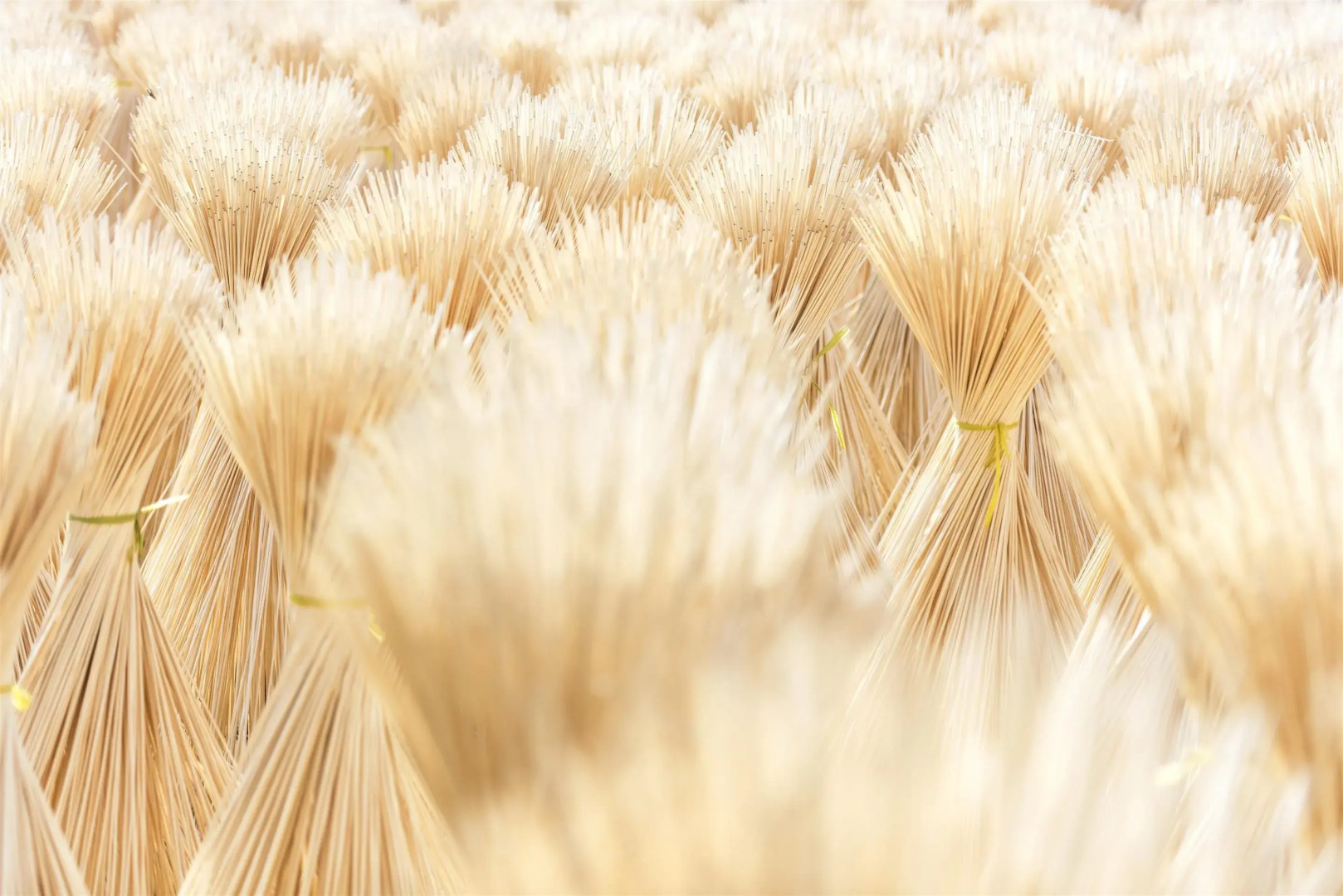 Sheraton Huzhou Taihu Lake Hot Spring Resort & Spa