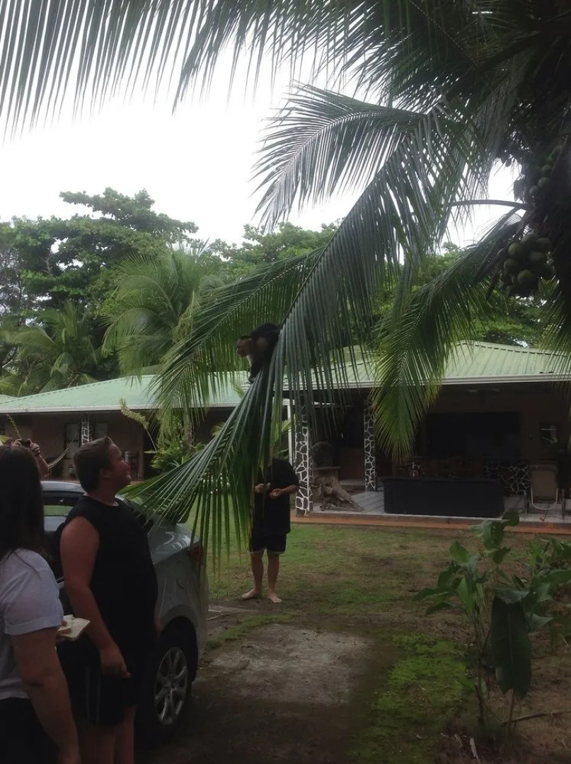 Hotel La Tranquilidad