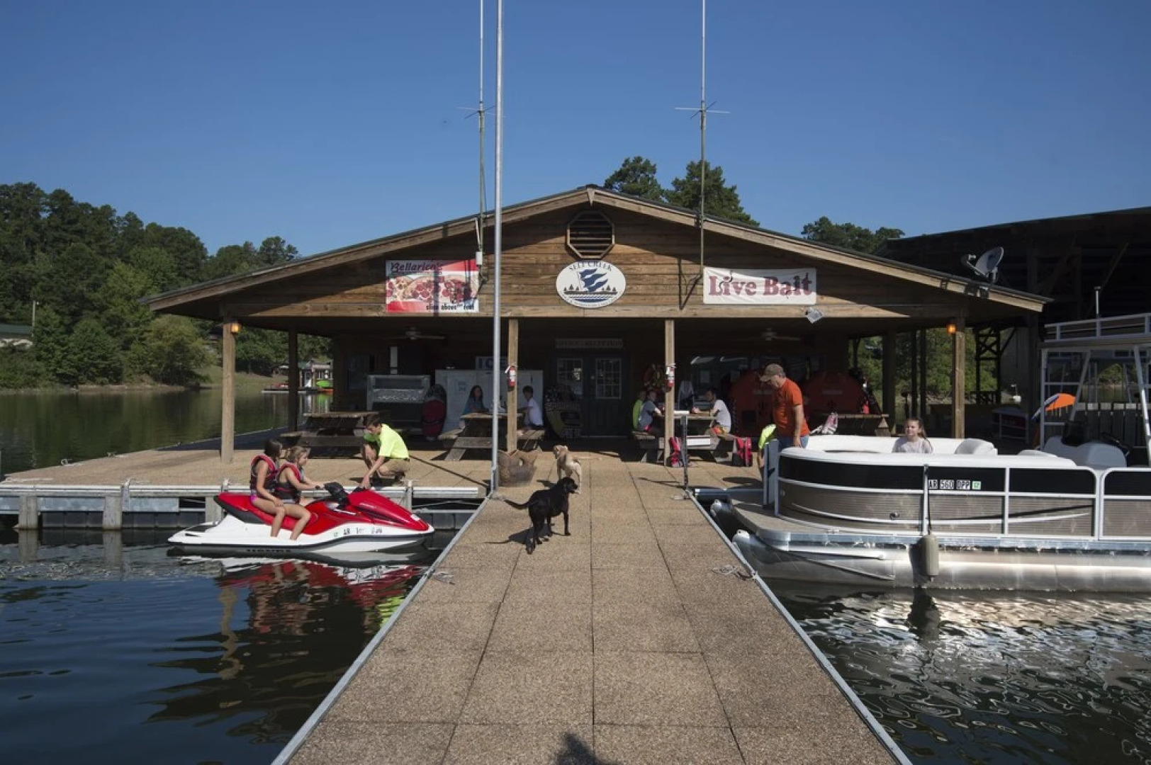 Self Creek Lodge and Marina