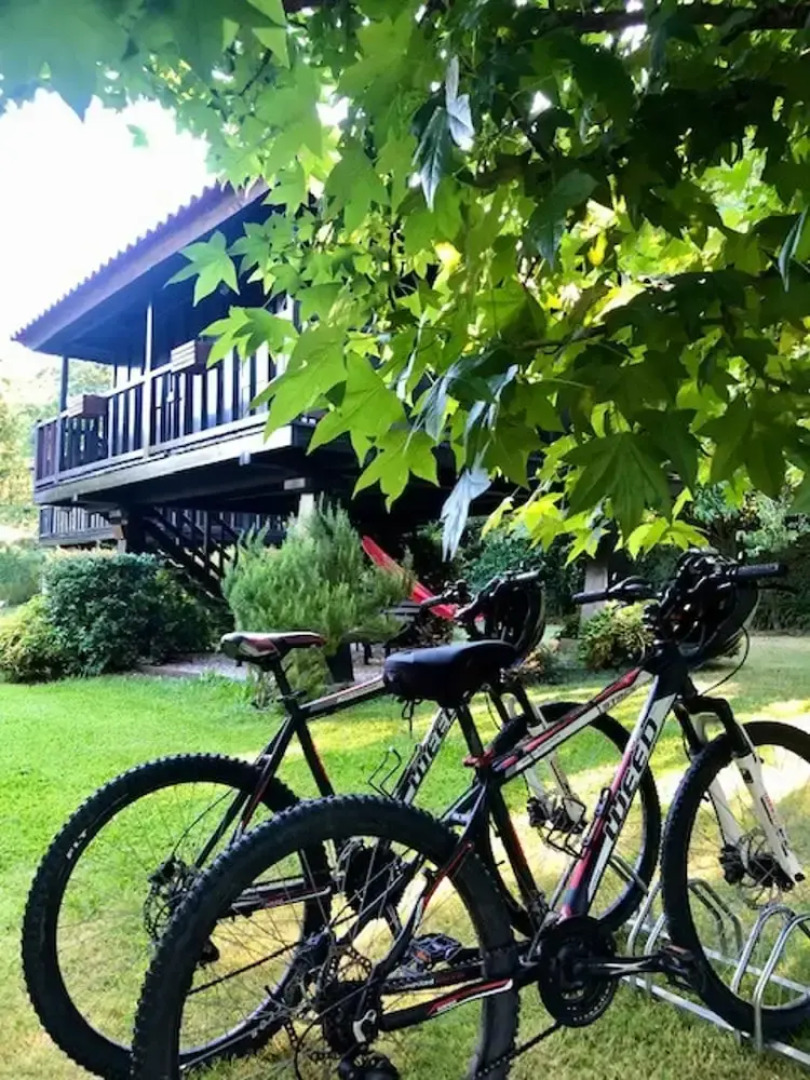 Pool Villa Espigueiro I