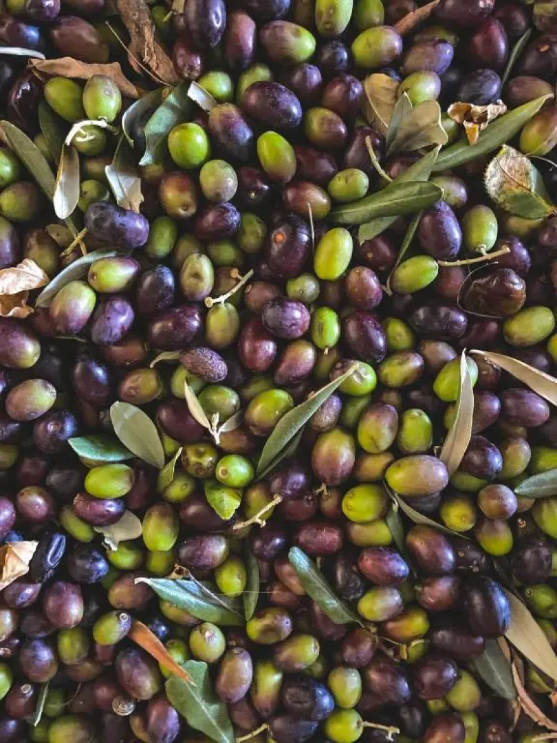 Agriturismo Santa Croce Domus Laetitiae