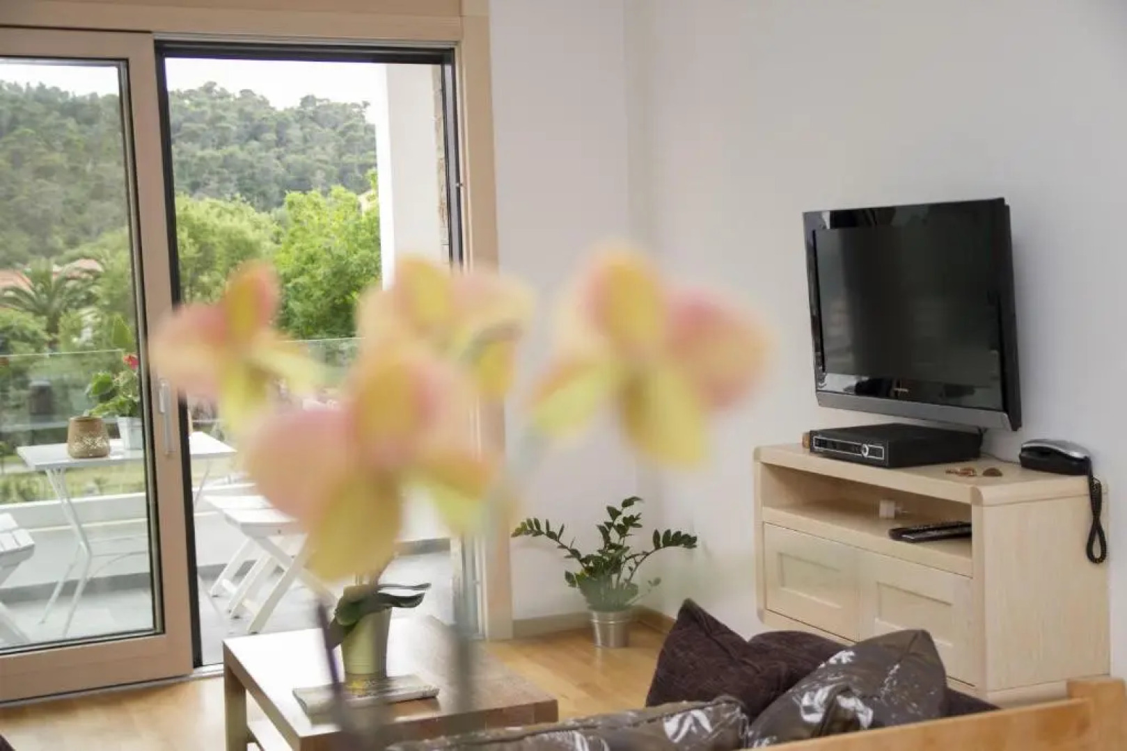 Apartments Brežanin