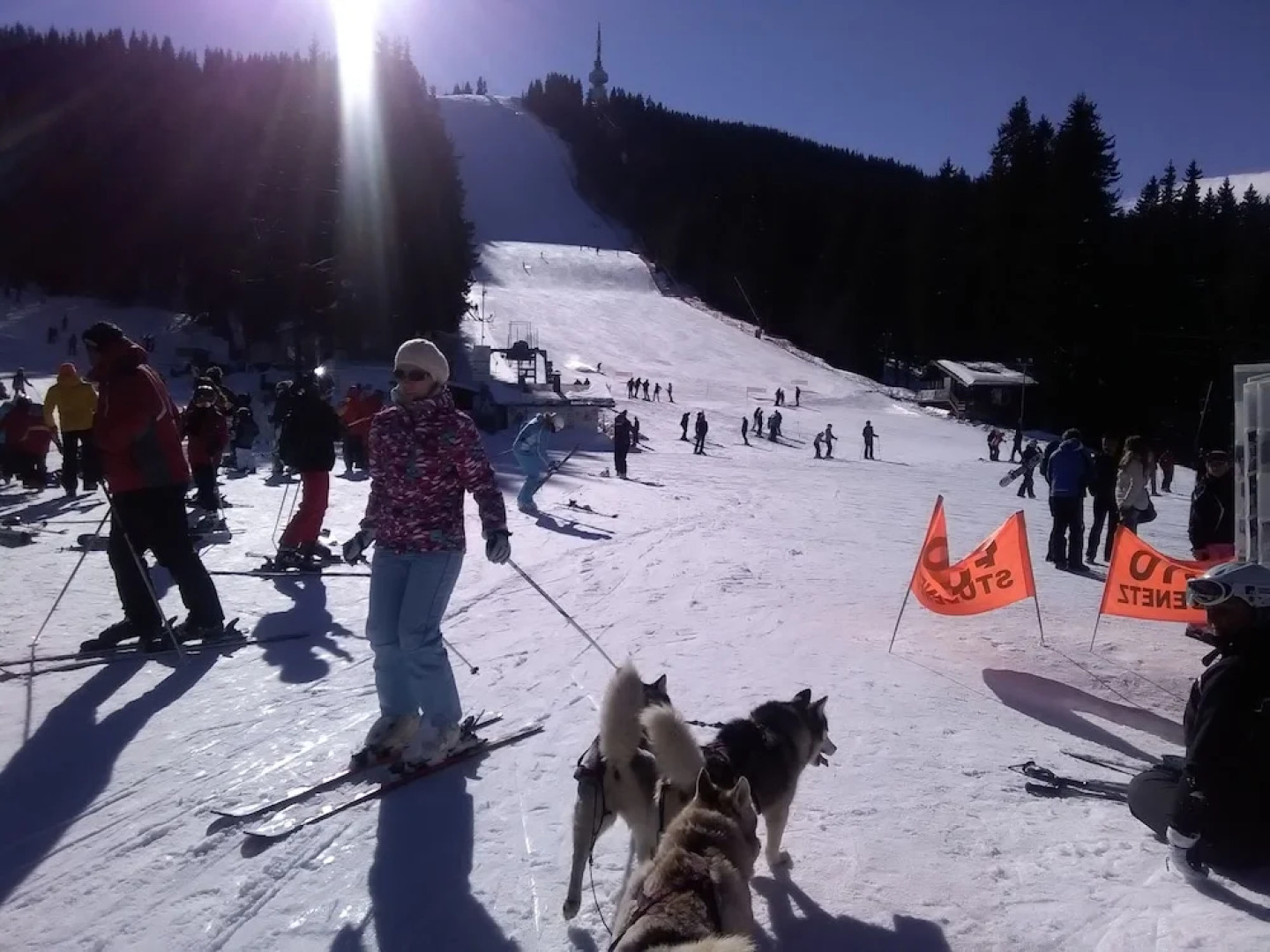 Ski Chalets at Pamporovo - an Affordable Village Holiday for Families or Groups
