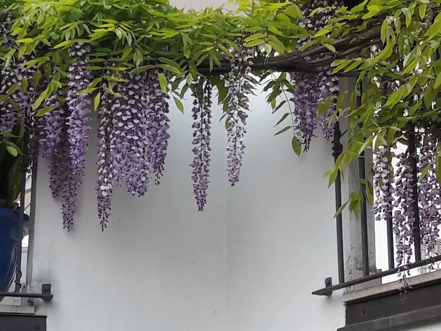 B&B Villa il Glicine