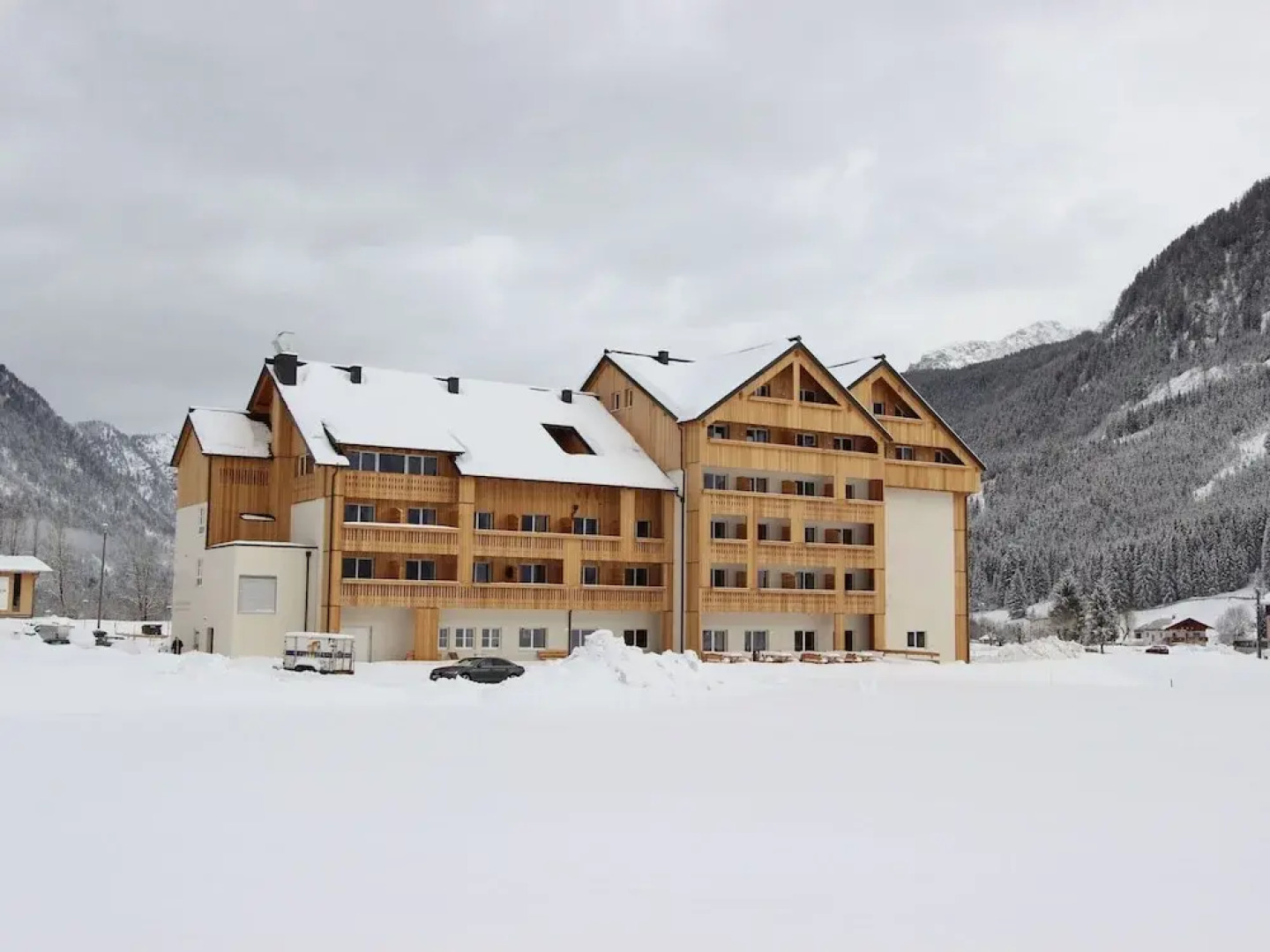 Spacious Apartment in Gosau near Ski Area