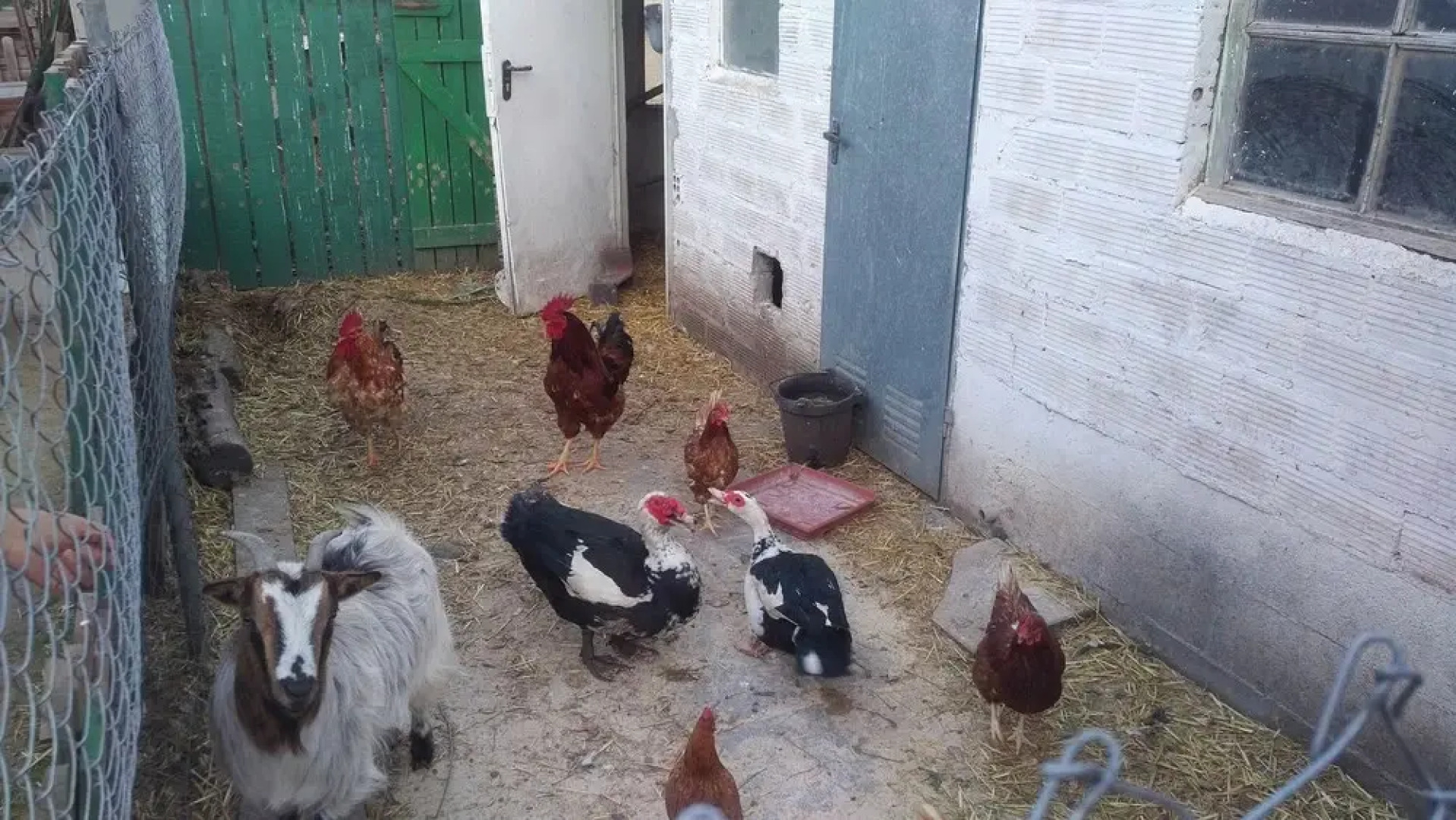 Casa Pintoresca con espacios y piscina