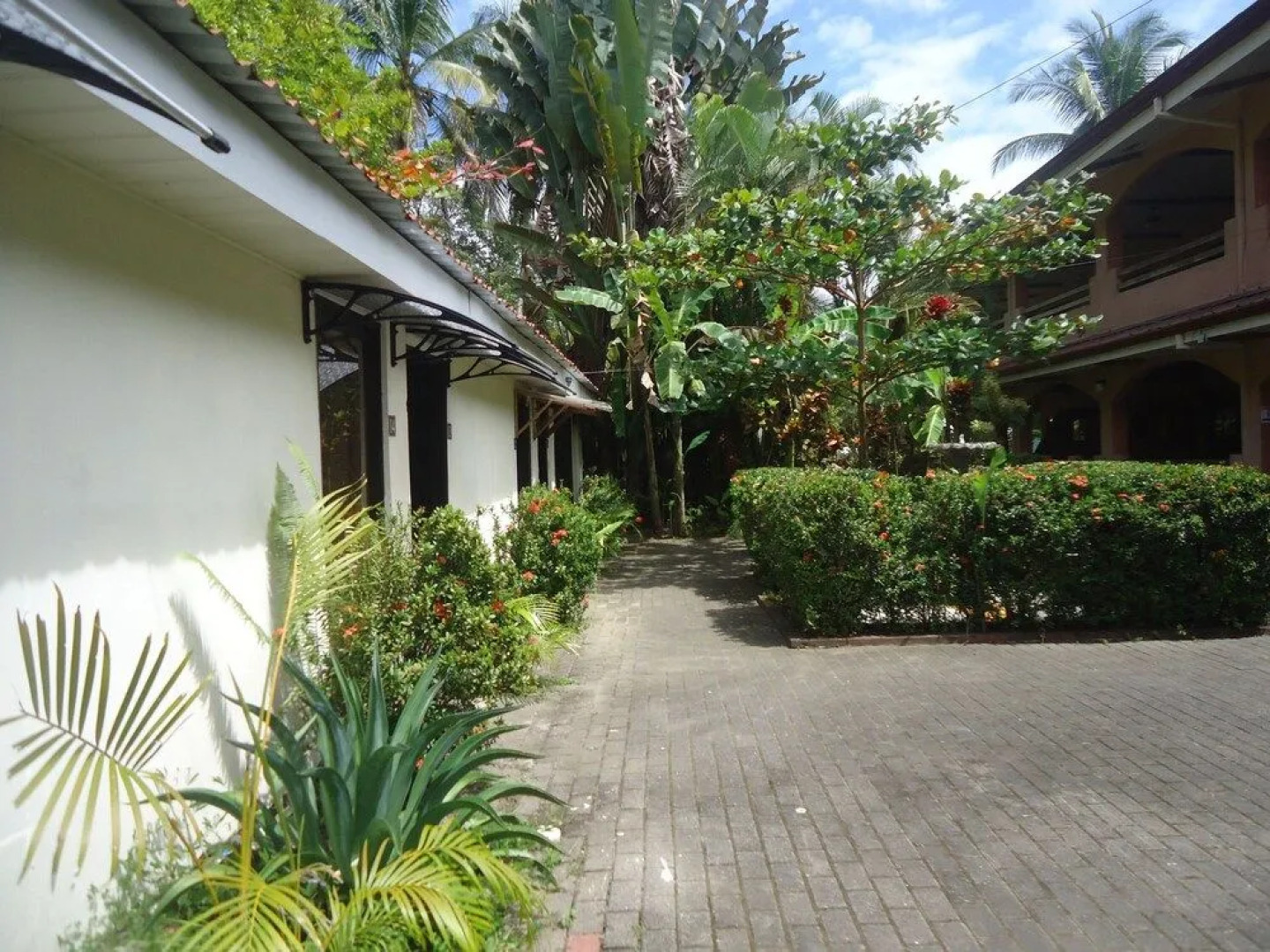 Hotel Playa Westfalia