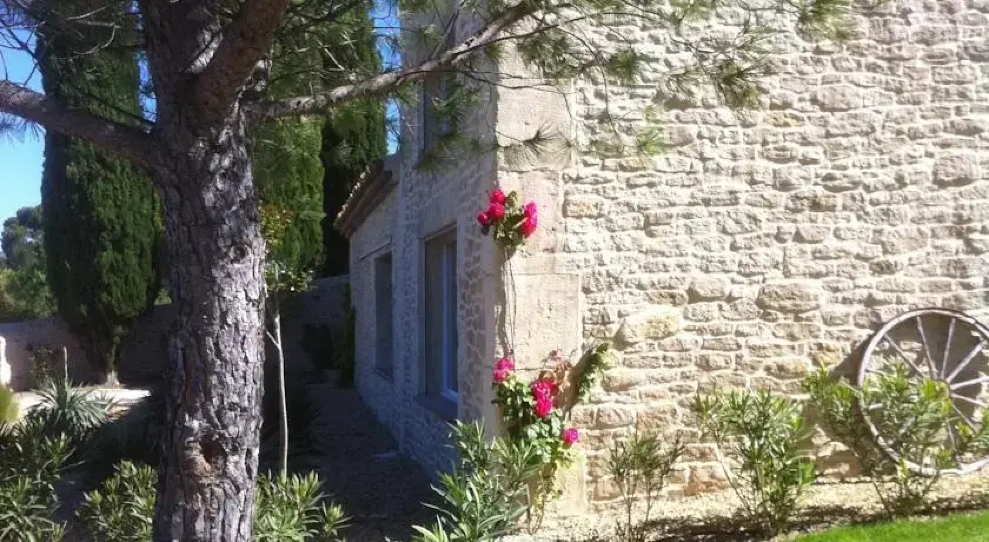 Le Chant Des Oliviers