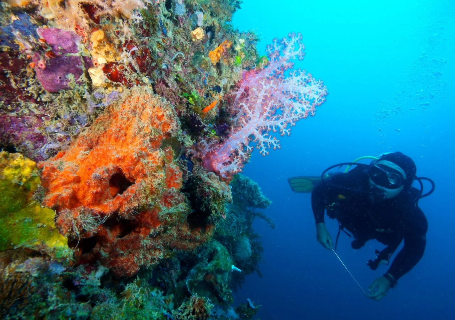 Huma Island Resort and Spa