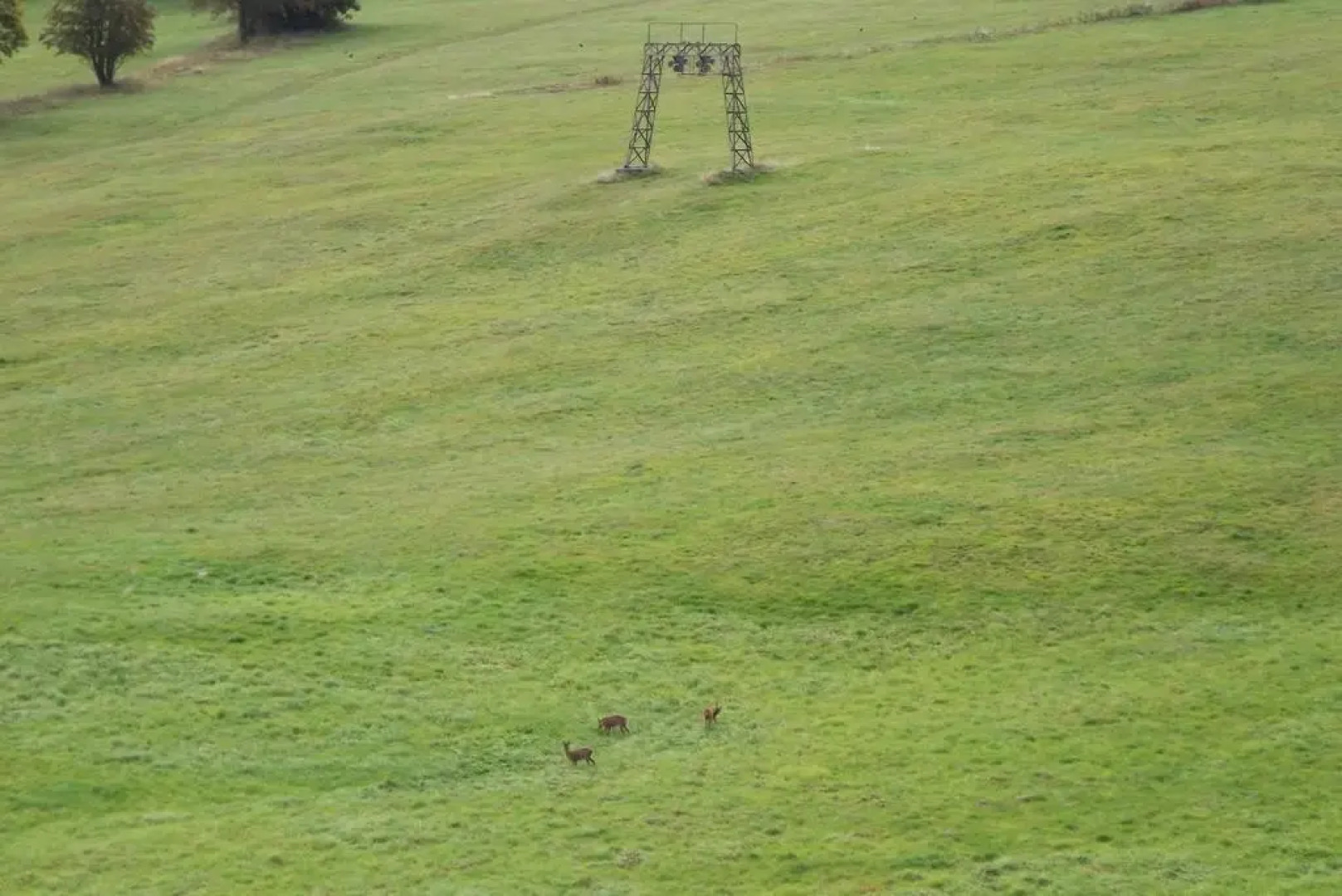 Jules Ferienapartment