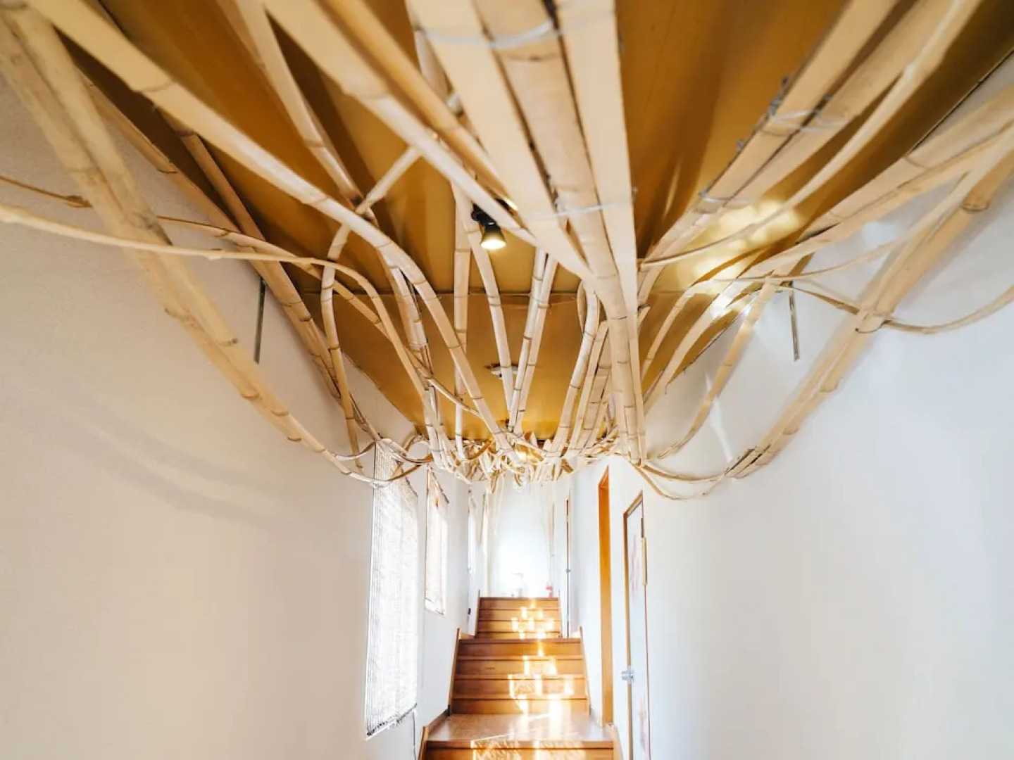 Oogute Kohan Shirasagi So