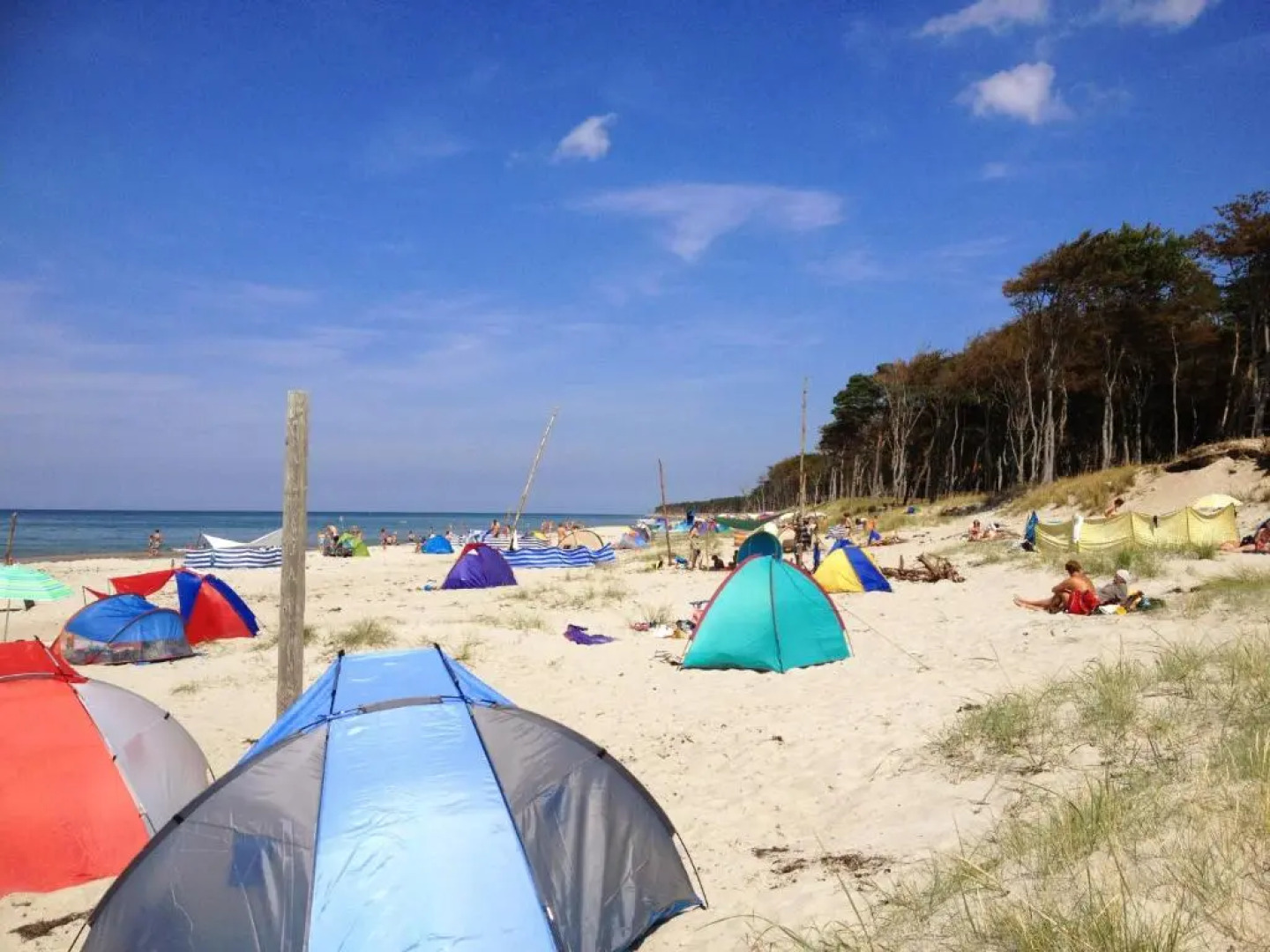 Haus Schumann - Ostsee - Halbinsel Darss