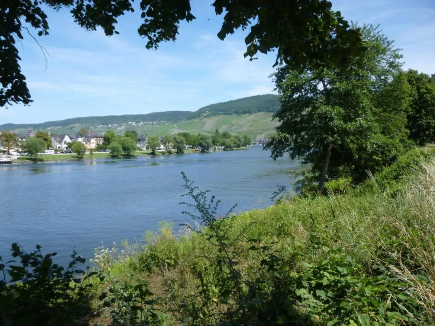 Moselferienhaus-Zeltingen