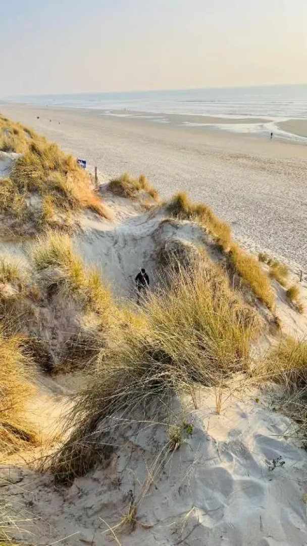 Appartement à quelques pas de la plage avec jardin
