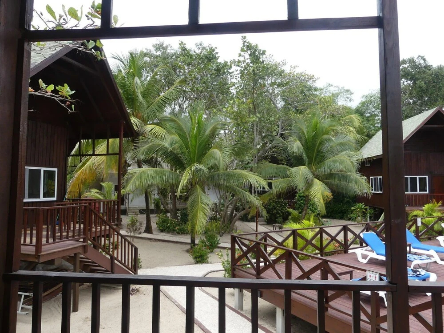 Green Parrot Beach Houses and Resort