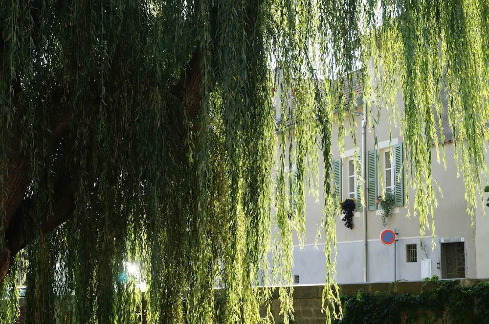 Une Odeur de Tilleul