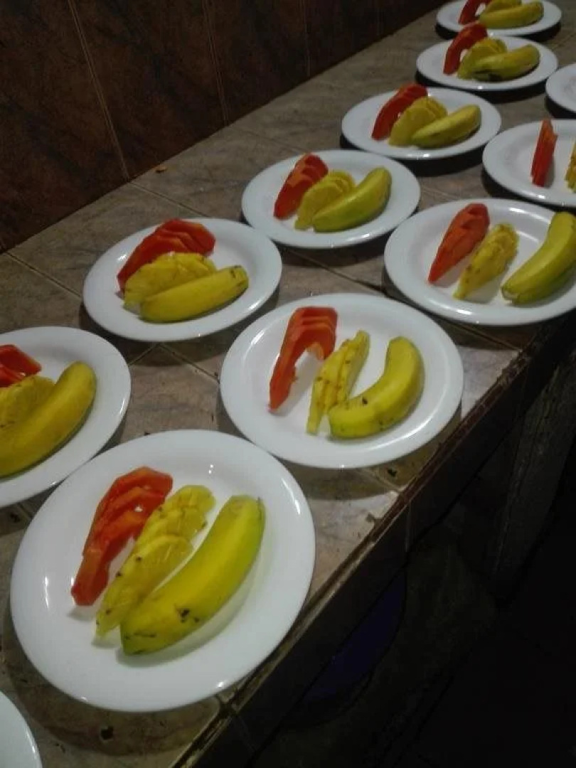 Peacock Solitude Hotel