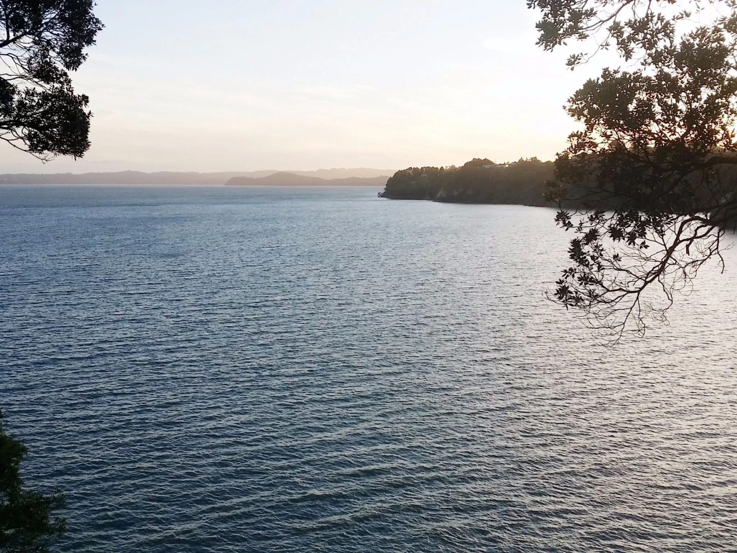 Auckland Clifftop