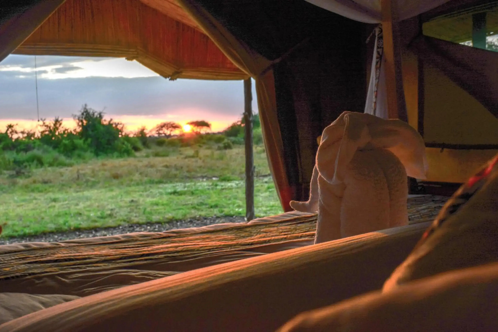 Zebra Kemang'ore Bush Tented Lodge