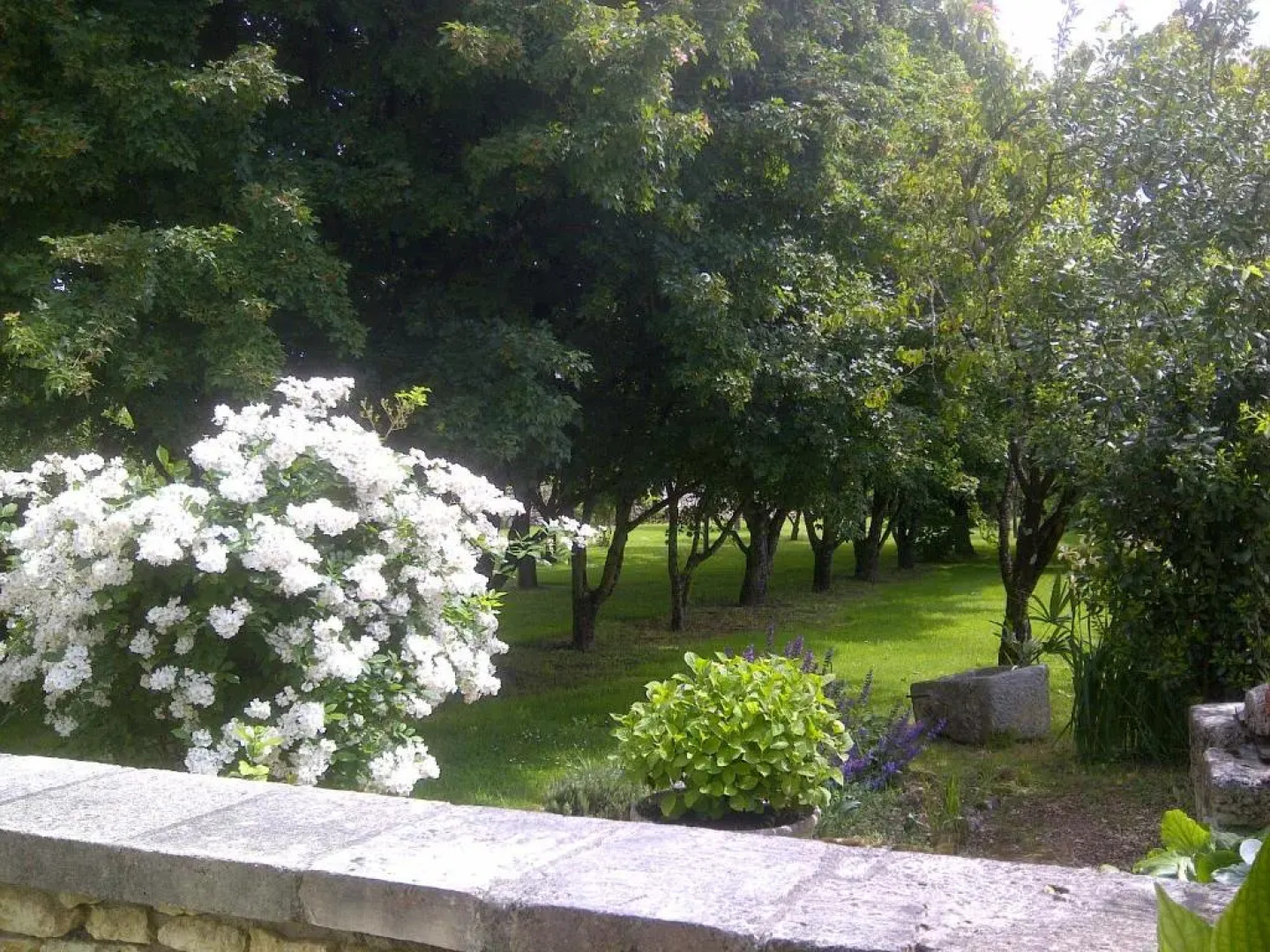 Chambre dHôtes La Maline