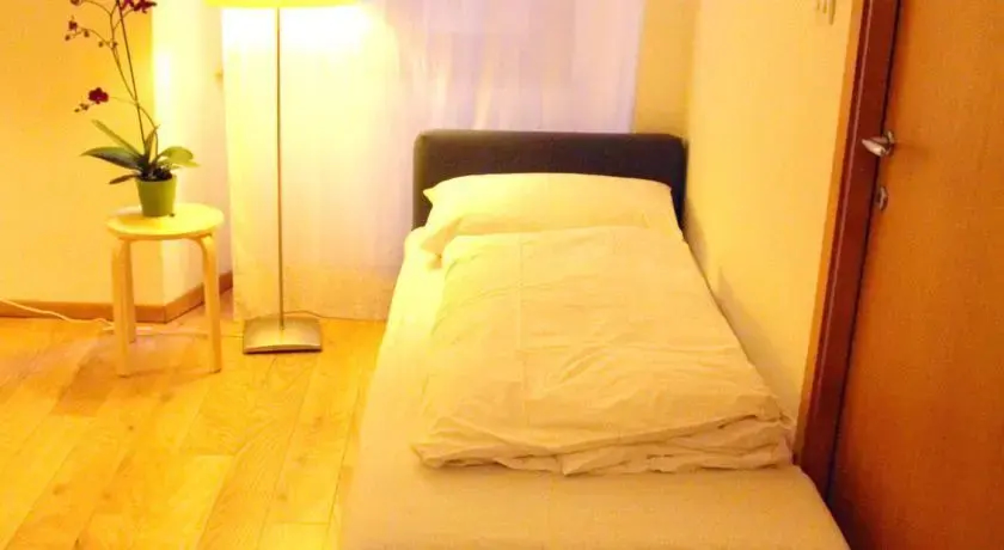 Ankecasa