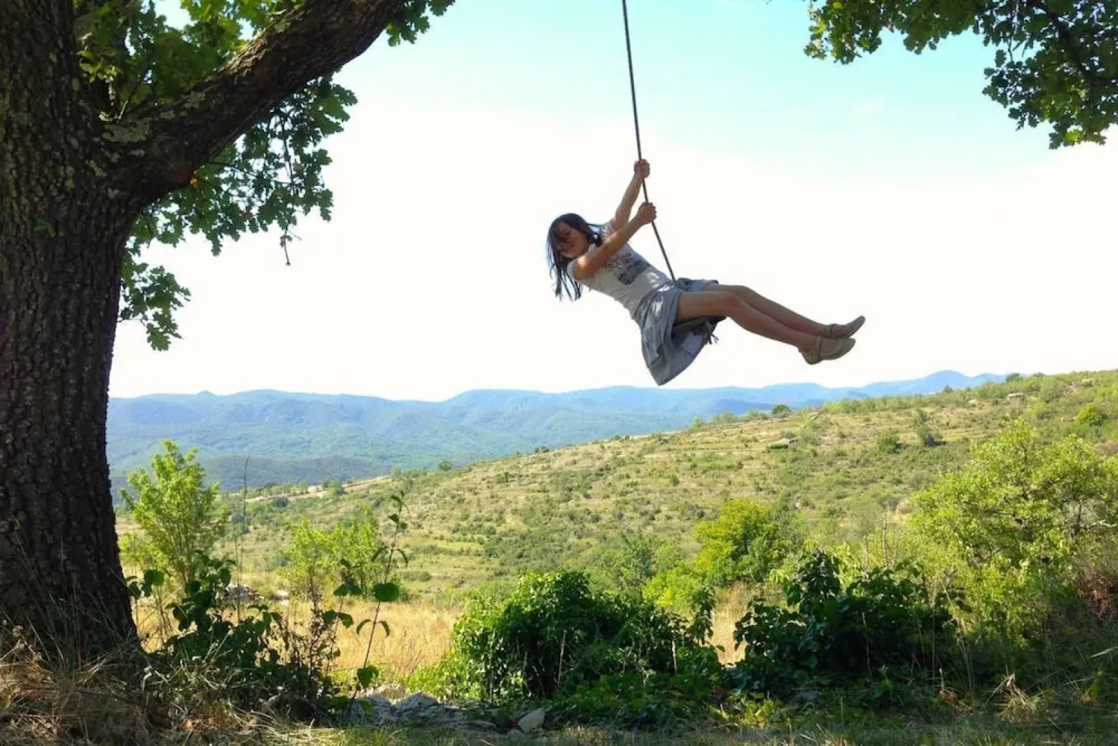 Wild Boar Mountain - France