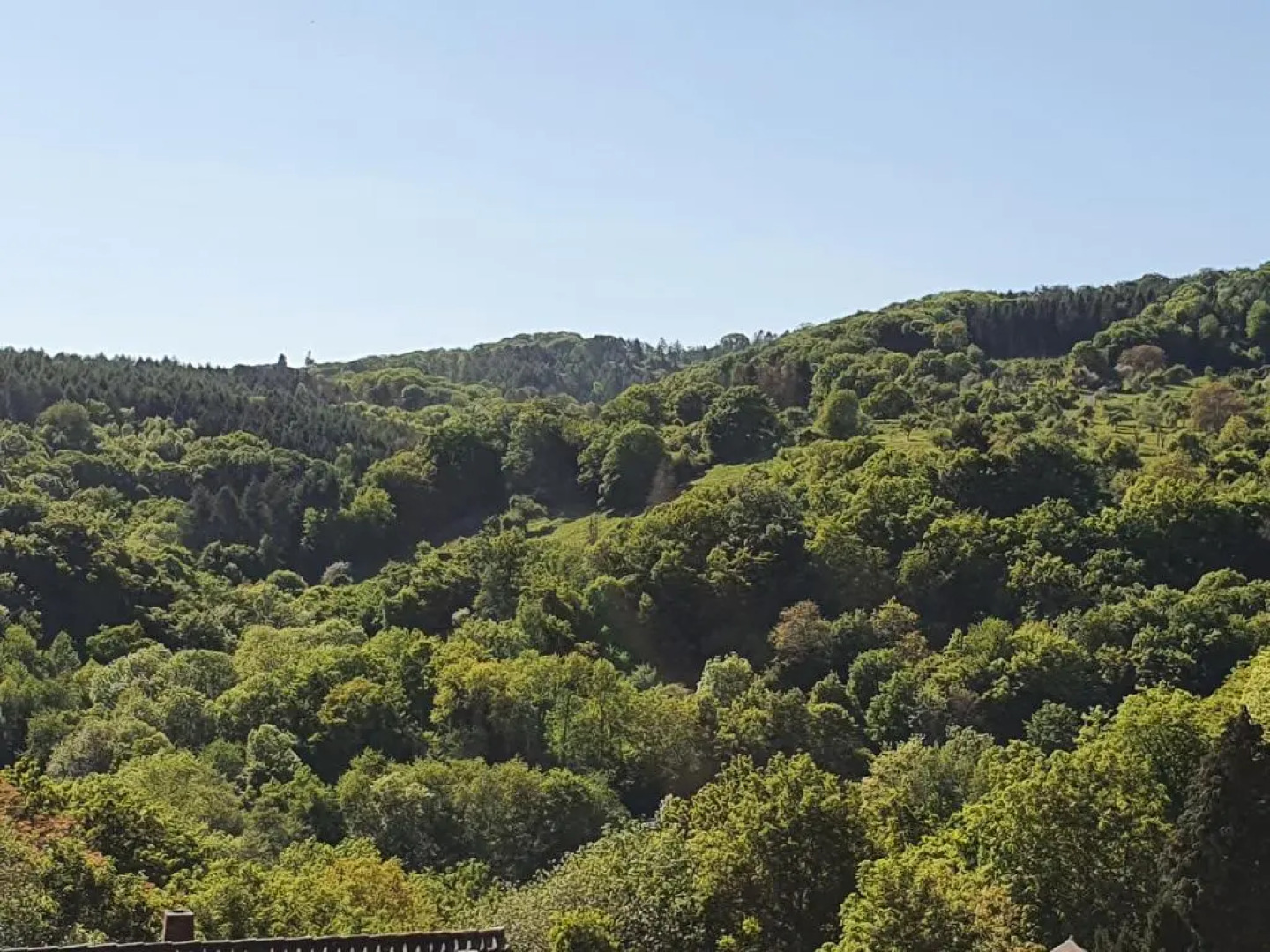 Die Grune Oase Am Rheinsteig 2 Zkbuwc