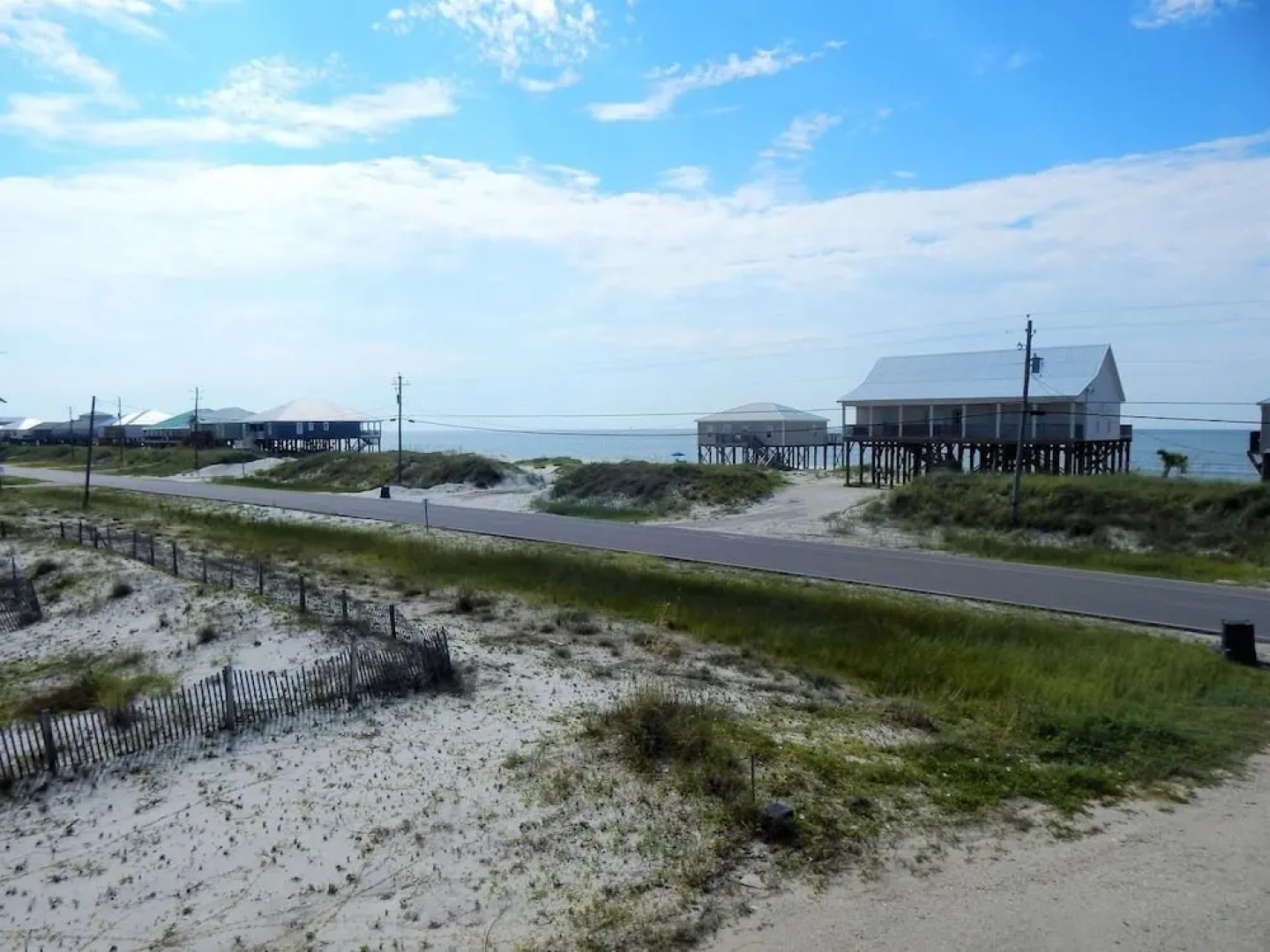 008 Sea Horsin Around