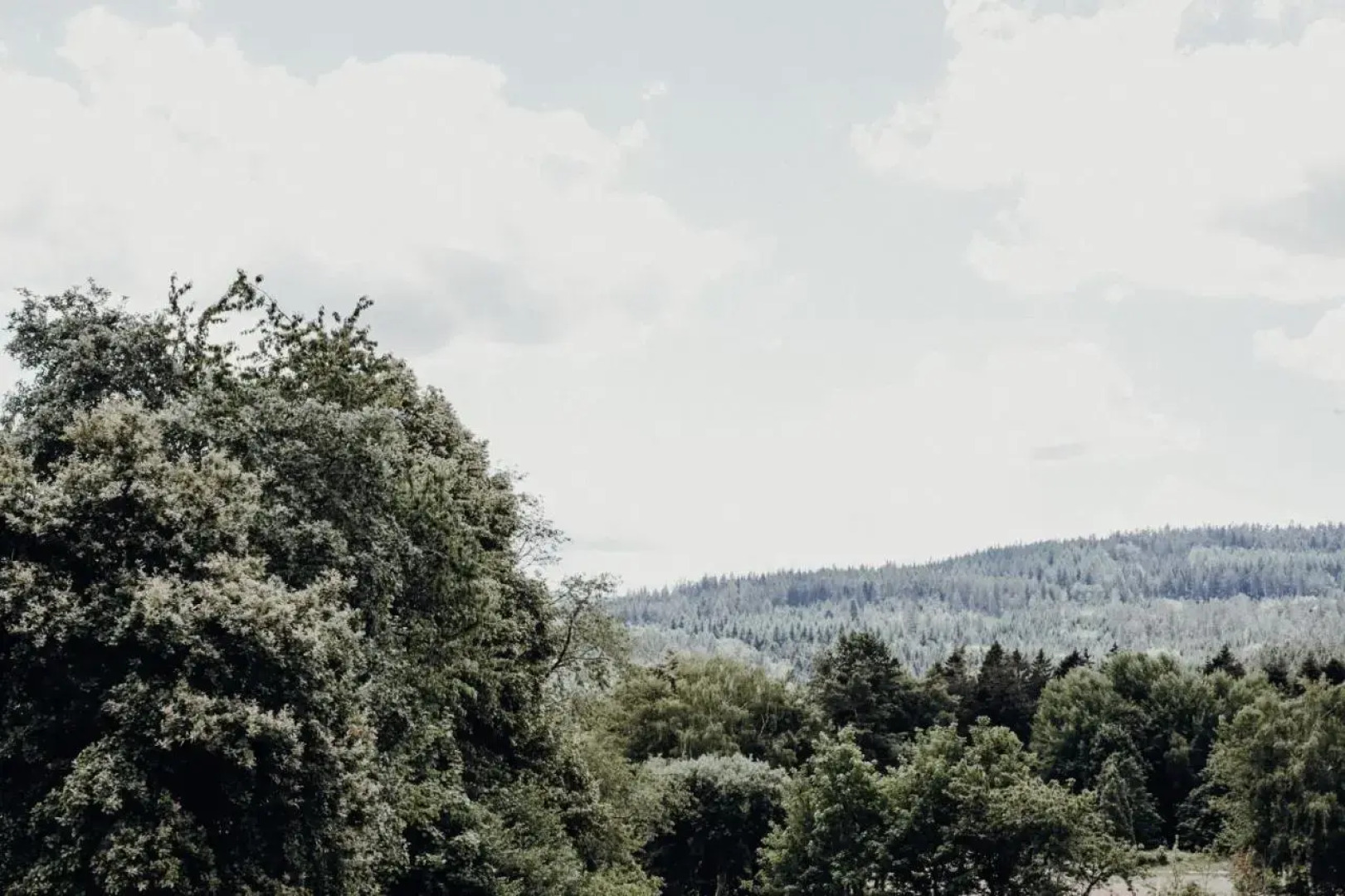 1-Zimmer-Ferienwohnung Vogelnest